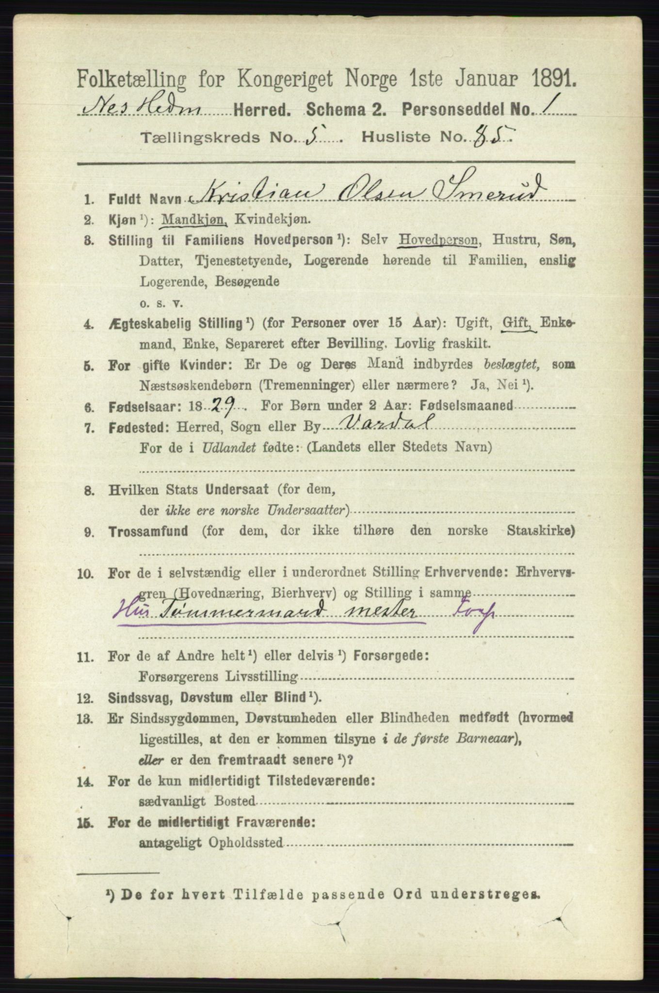 RA, 1891 census for 0411 Nes, 1891, p. 3158