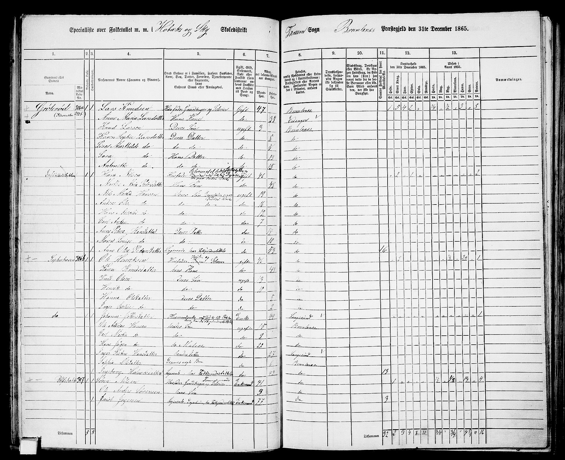 RA, 1865 census for Brunlanes, 1865, p. 34