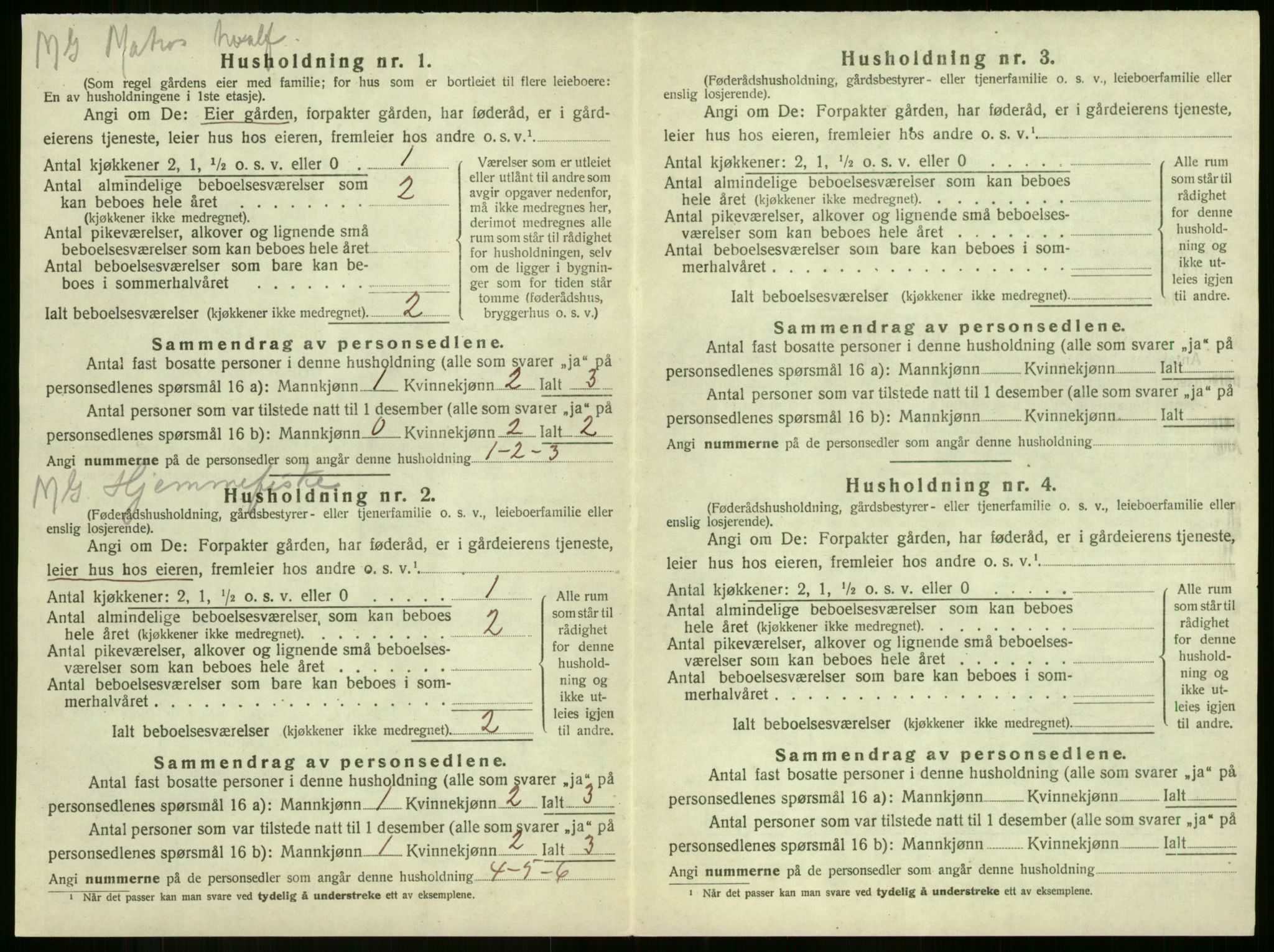 SAKO, 1920 census for Sandeherred, 1920, p. 3242