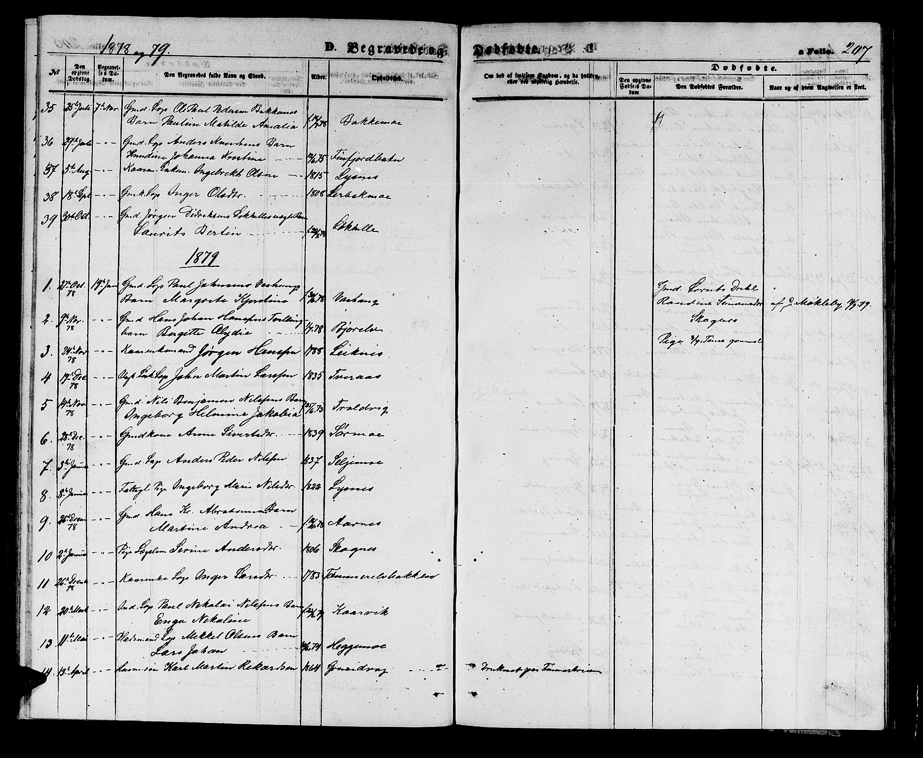 Lenvik sokneprestembete, AV/SATØ-S-1310/H/Ha/Hab/L0005klokker: Parish register (copy) no. 5, 1870-1880, p. 207