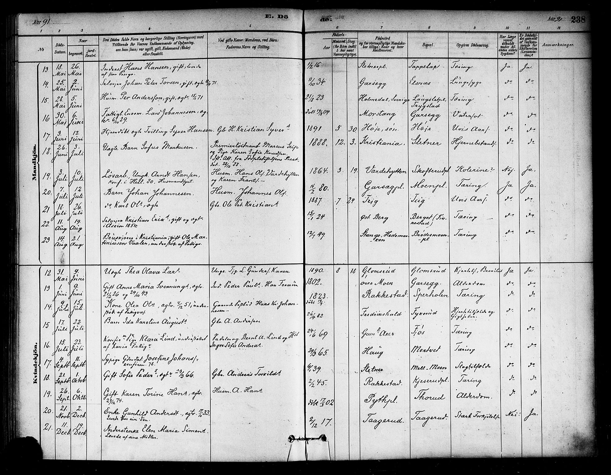 Eidsberg prestekontor Kirkebøker, SAO/A-10905/F/Fa/L0012: Parish register (official) no. I 12, 1879-1901, p. 238
