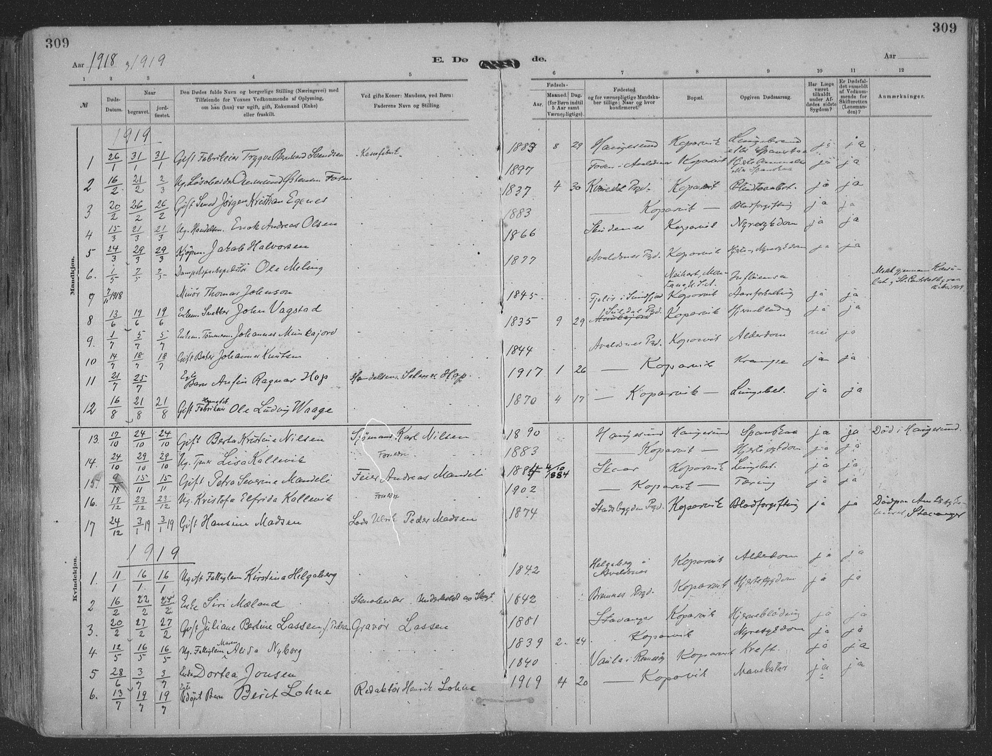 Kopervik sokneprestkontor, SAST/A-101850/H/Ha/Haa/L0001: Parish register (official) no. A 1, 1880-1919, p. 309