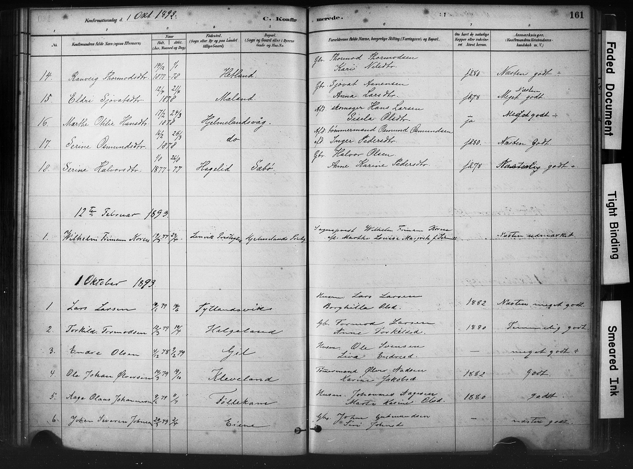 Hjelmeland sokneprestkontor, AV/SAST-A-101843/01/IV/L0014: Parish register (official) no. A 14, 1879-1900, p. 161