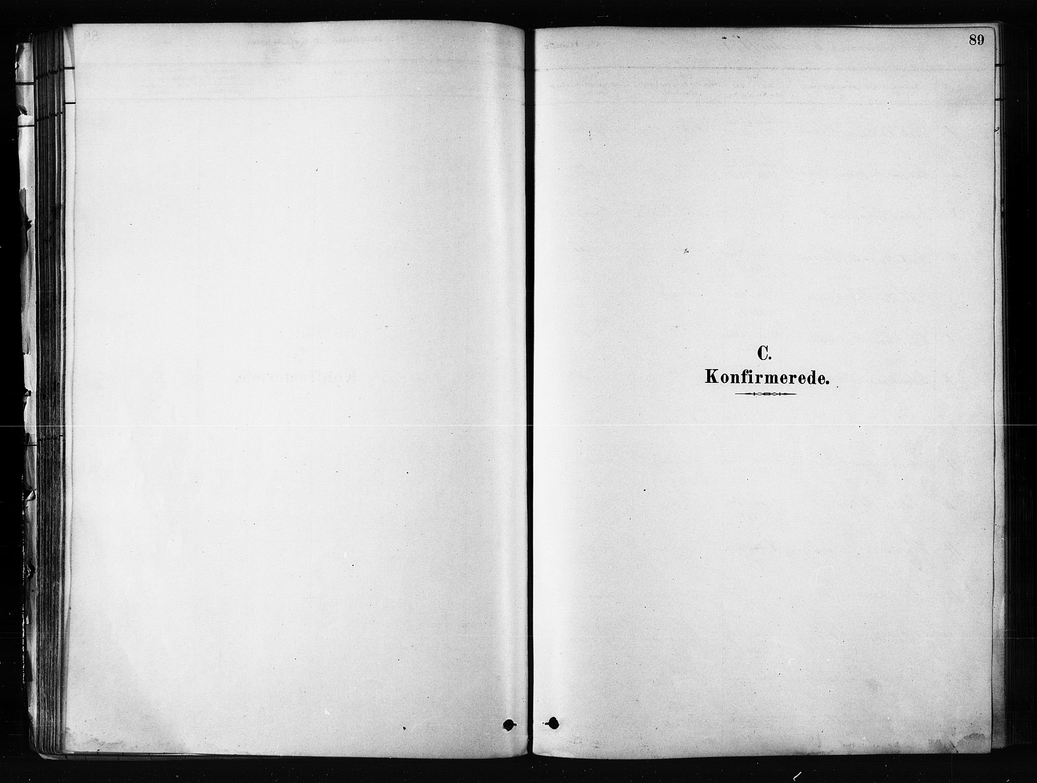 Skjervøy sokneprestkontor, SATØ/S-1300/H/Ha/Haa/L0012kirke: Parish register (official) no. 12, 1878-1891, p. 89