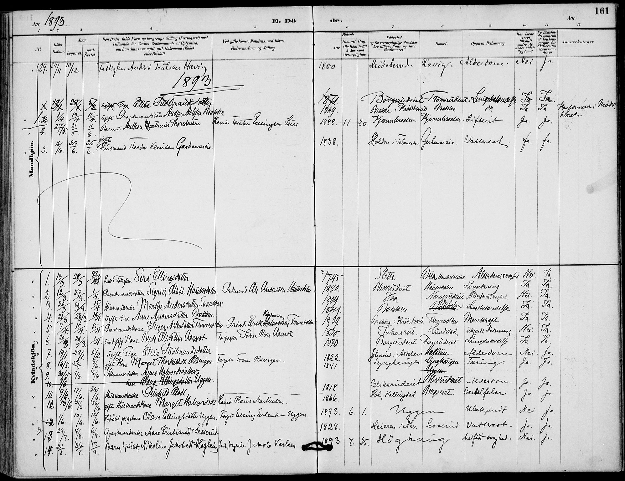 Lunder kirkebøker, AV/SAKO-A-629/F/Fa/L0001: Parish register (official) no. I 1, 1885-1912, p. 161