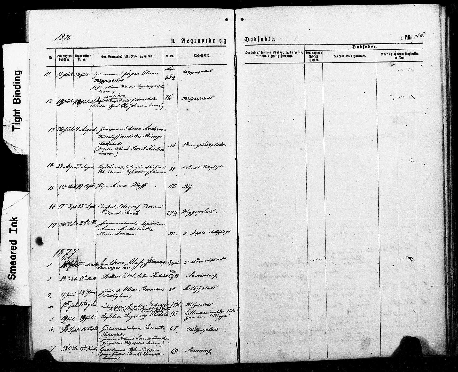 Ministerialprotokoller, klokkerbøker og fødselsregistre - Nord-Trøndelag, AV/SAT-A-1458/740/L0380: Parish register (copy) no. 740C01, 1868-1902, p. 206