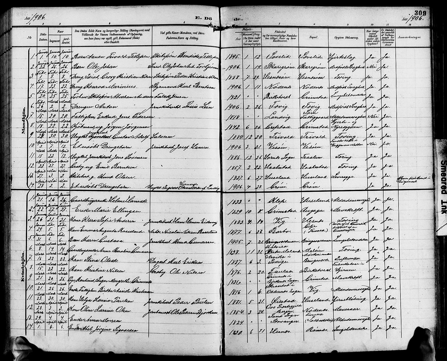 Fjære sokneprestkontor, SAK/1111-0011/F/Fb/L0012: Parish register (copy) no. B 12, 1902-1925, p. 309