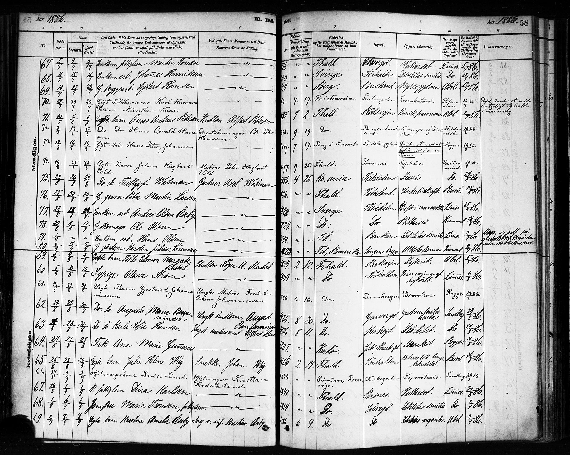 Halden prestekontor Kirkebøker, SAO/A-10909/F/Fa/L0012: Parish register (official) no. I 12, 1878-1889, p. 58