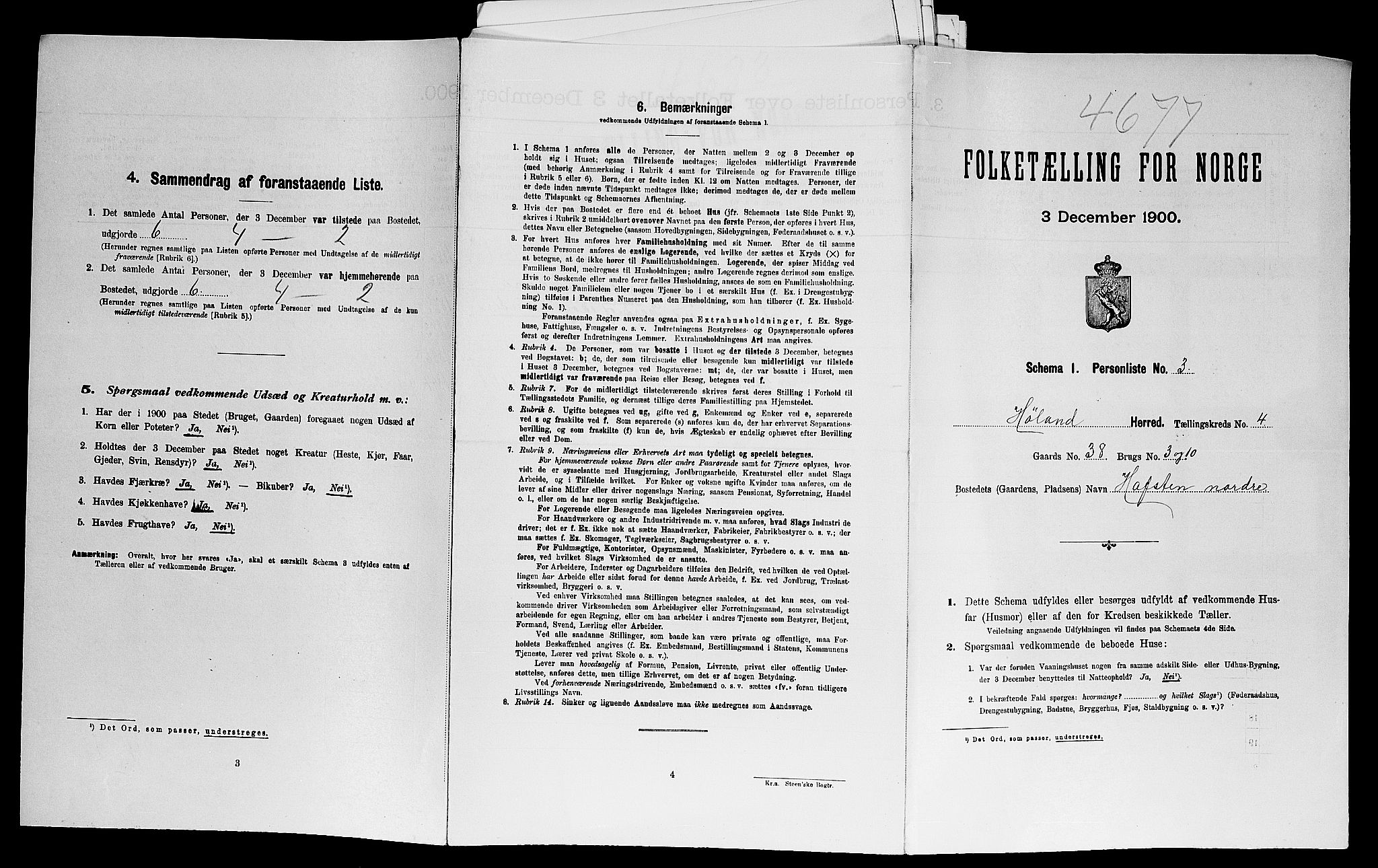 SAO, 1900 census for Høland, 1900