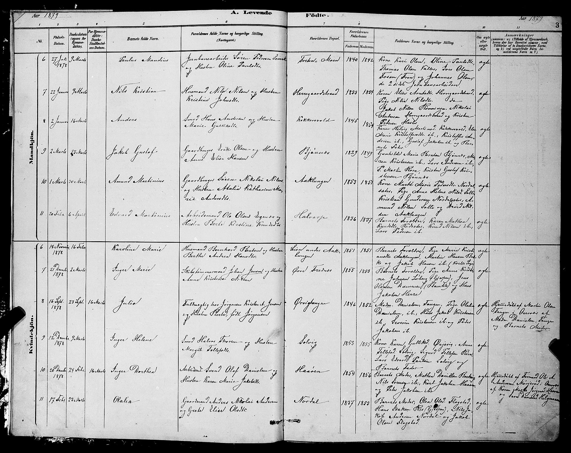 Eidanger kirkebøker, AV/SAKO-A-261/G/Ga/L0002: Parish register (copy) no. 2, 1879-1892, p. 3