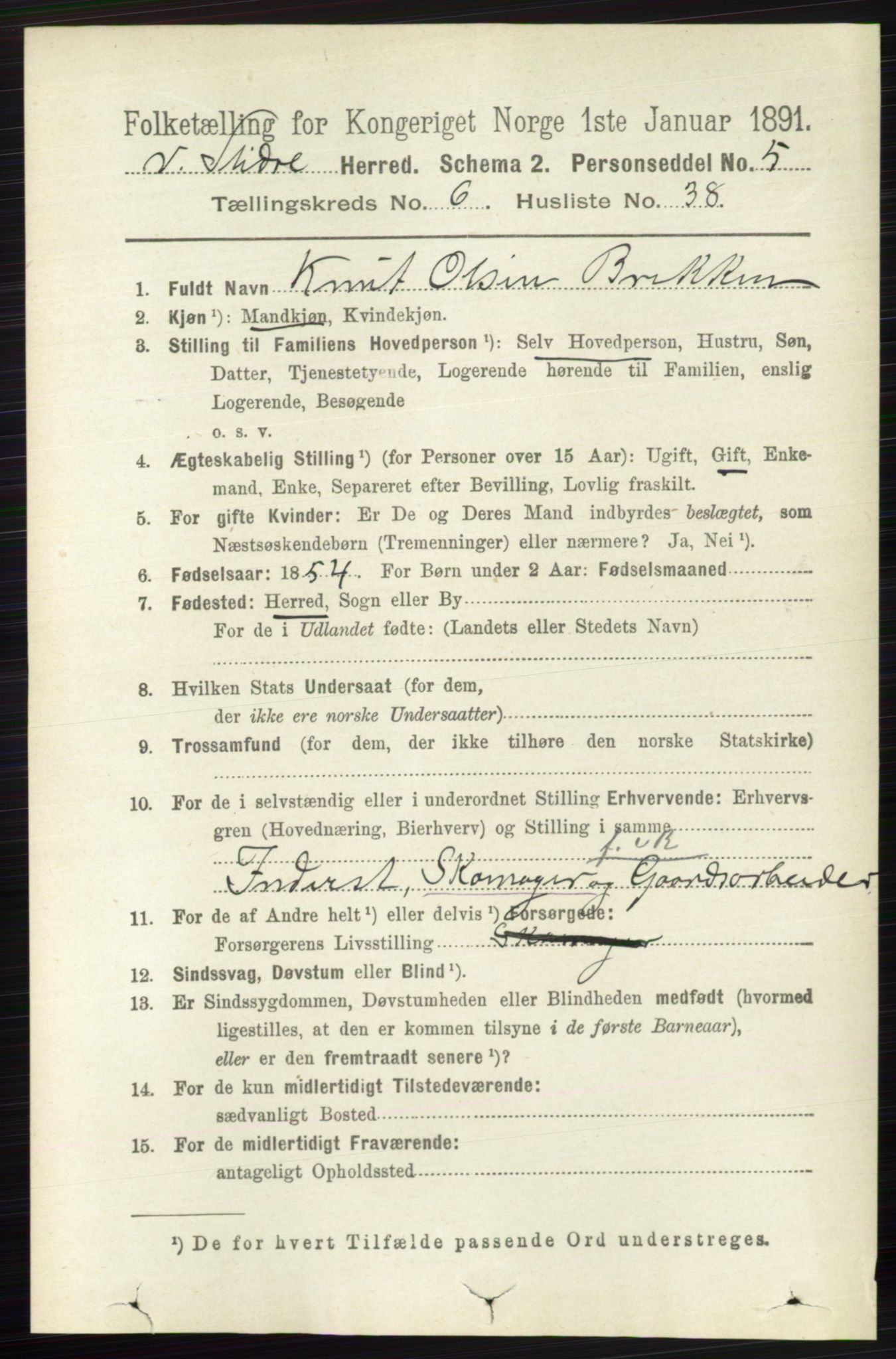 RA, 1891 census for 0543 Vestre Slidre, 1891, p. 2300