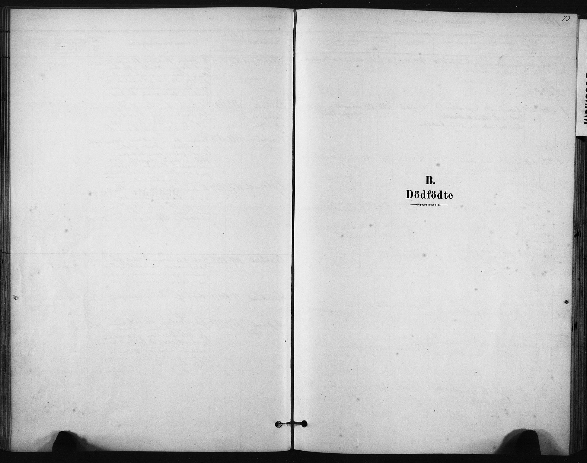 Ministerialprotokoller, klokkerbøker og fødselsregistre - Sør-Trøndelag, AV/SAT-A-1456/631/L0512: Parish register (official) no. 631A01, 1879-1912, p. 73