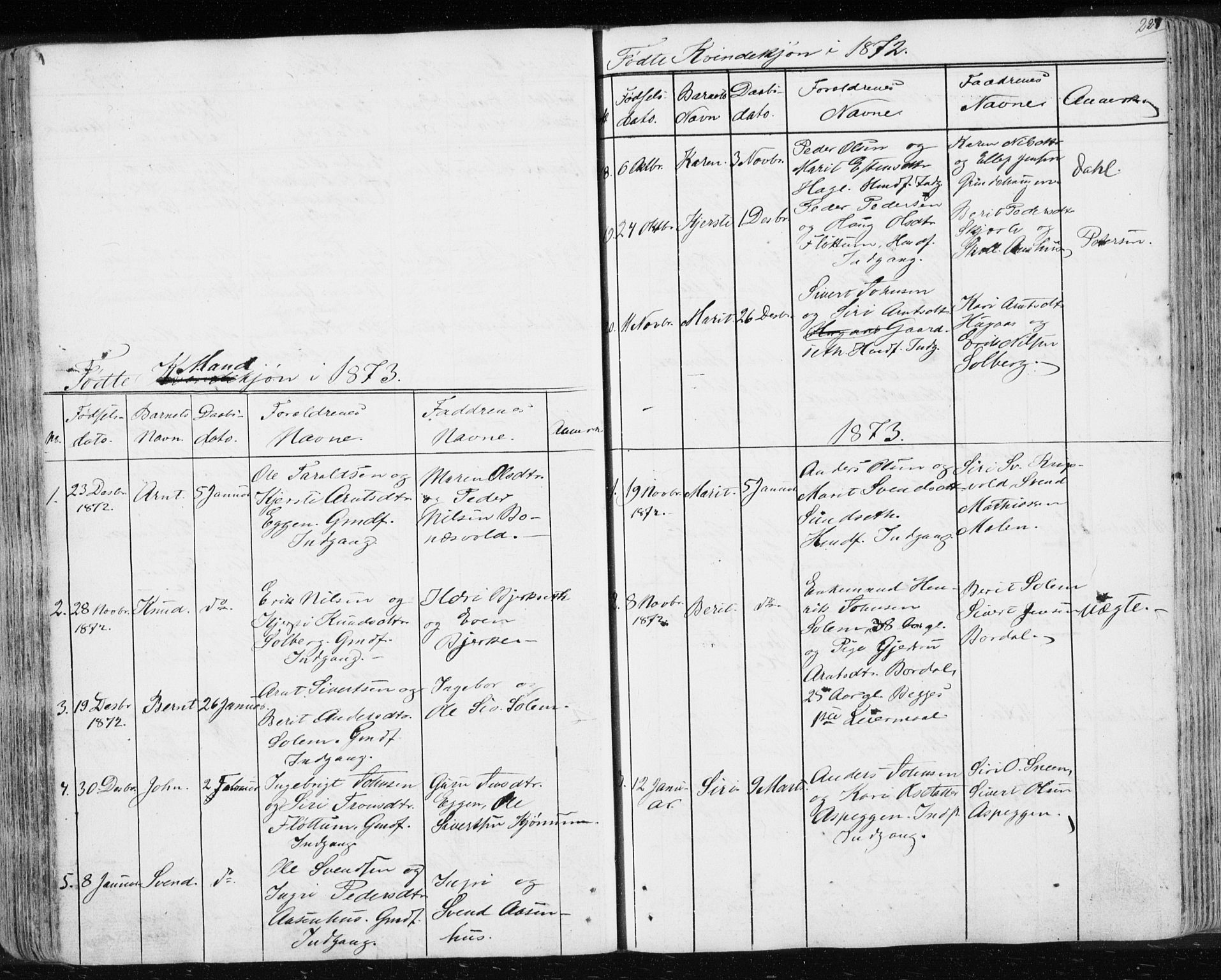 Ministerialprotokoller, klokkerbøker og fødselsregistre - Sør-Trøndelag, SAT/A-1456/689/L1043: Parish register (copy) no. 689C02, 1816-1892, p. 227