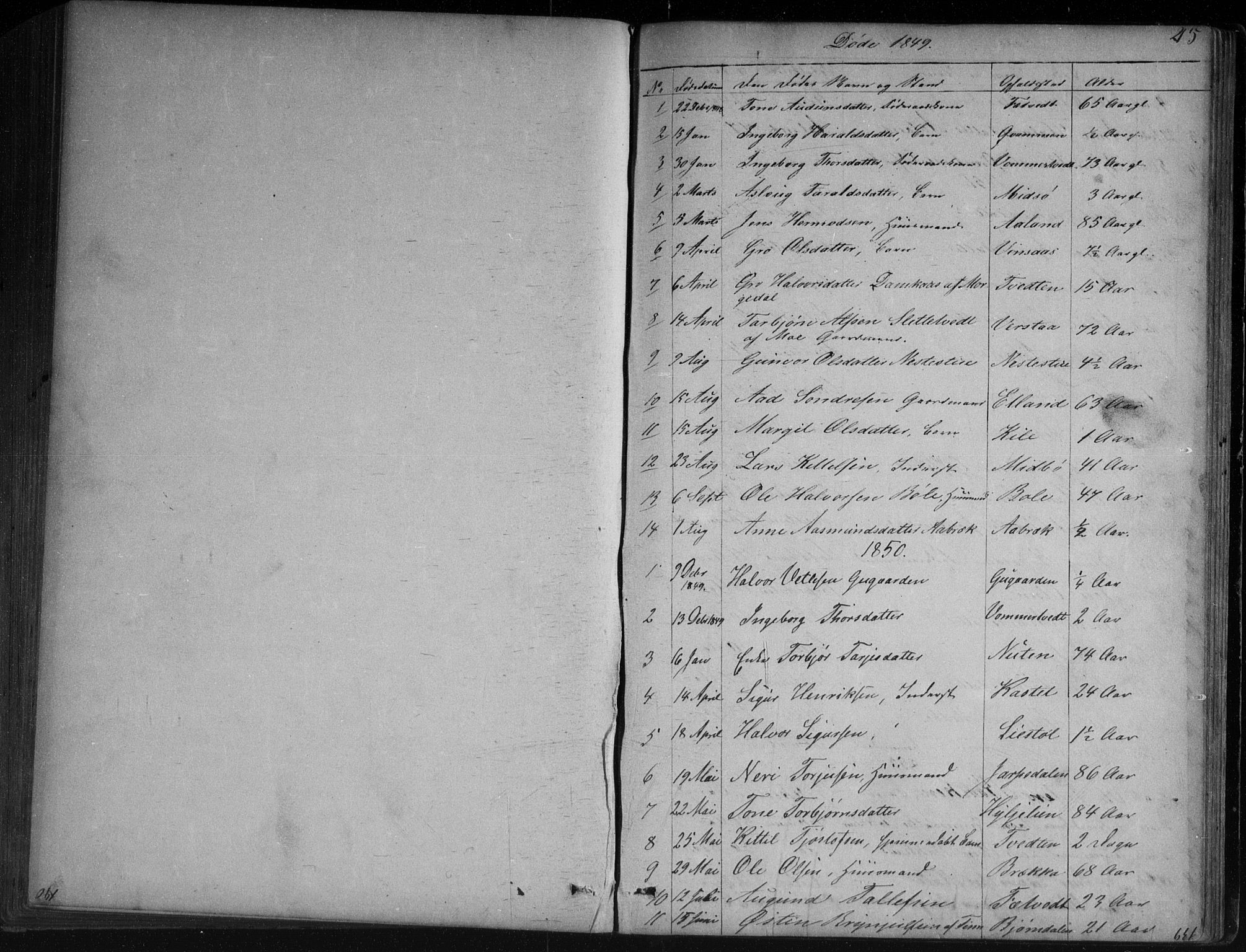 Vinje kirkebøker, SAKO/A-312/G/Ga/L0002: Parish register (copy) no. I 2, 1849-1893, p. 215