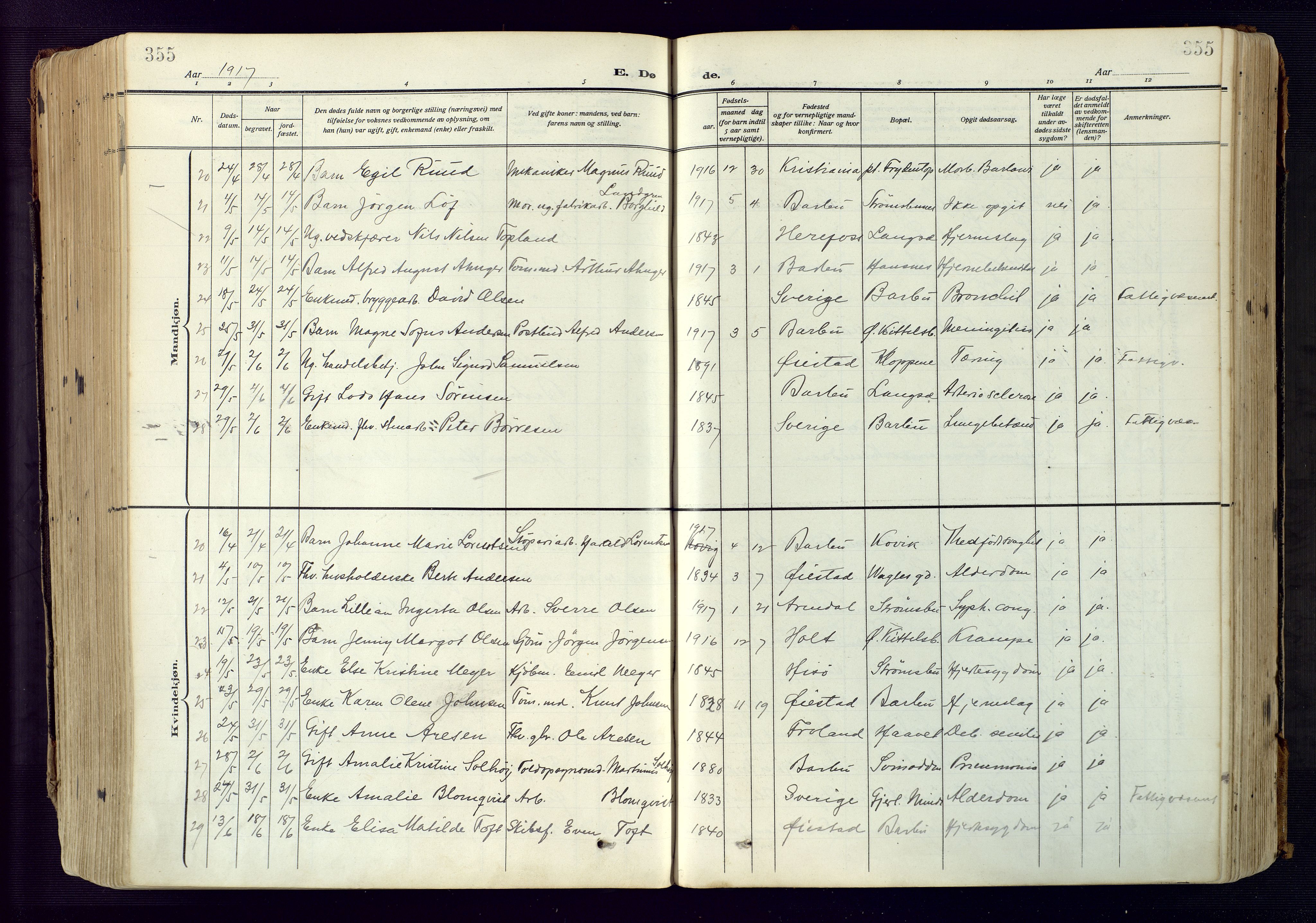 Barbu sokneprestkontor, AV/SAK-1111-0003/F/Fa/L0006: Parish register (official) no. A 6, 1910-1929, p. 355