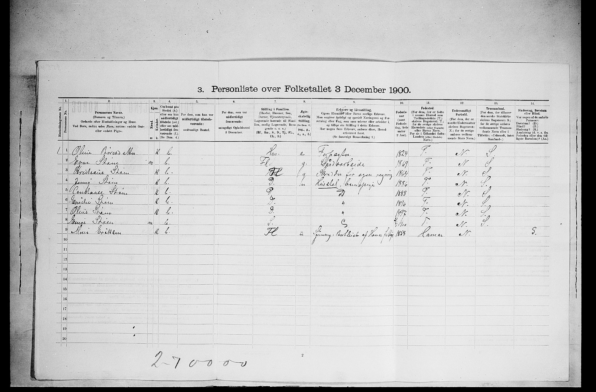 SAH, 1900 census for Nes, 1900, p. 493