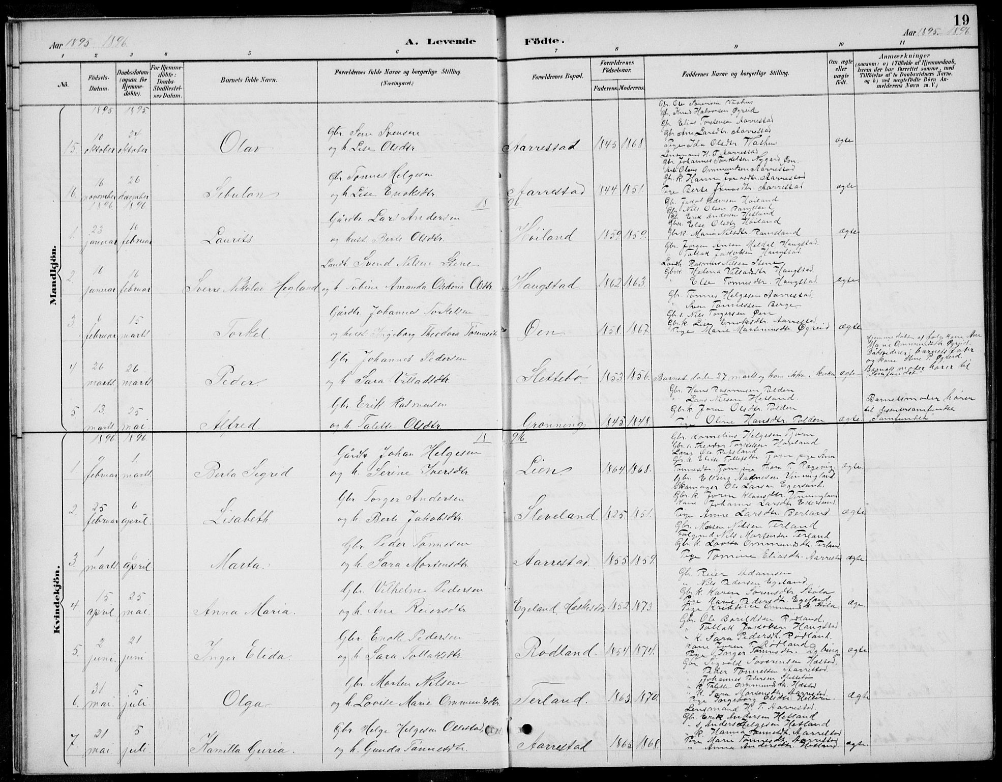 Helleland sokneprestkontor, SAST/A-101810: Parish register (copy) no. B 4, 1887-1941, p. 19
