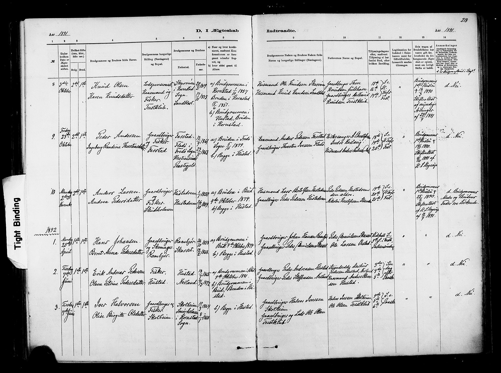 Ministerialprotokoller, klokkerbøker og fødselsregistre - Møre og Romsdal, AV/SAT-A-1454/567/L0778: Parish register (official) no. 567A01, 1881-1903, p. 218