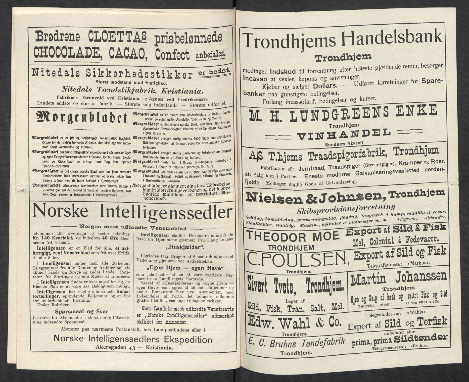 SAT, 1920 census for Klæbu, 1920, p. 17