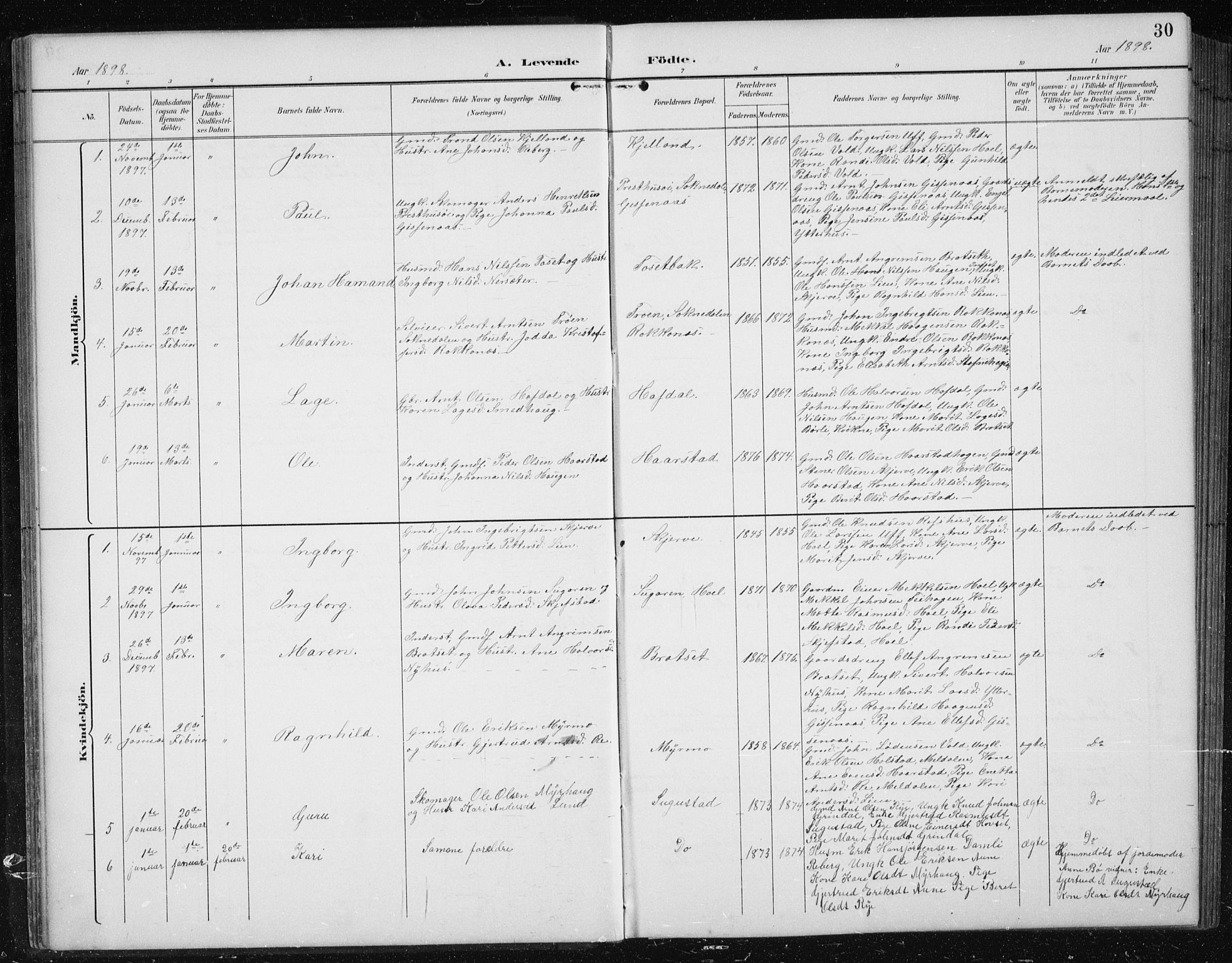 Ministerialprotokoller, klokkerbøker og fødselsregistre - Sør-Trøndelag, SAT/A-1456/674/L0876: Parish register (copy) no. 674C03, 1892-1912, p. 30