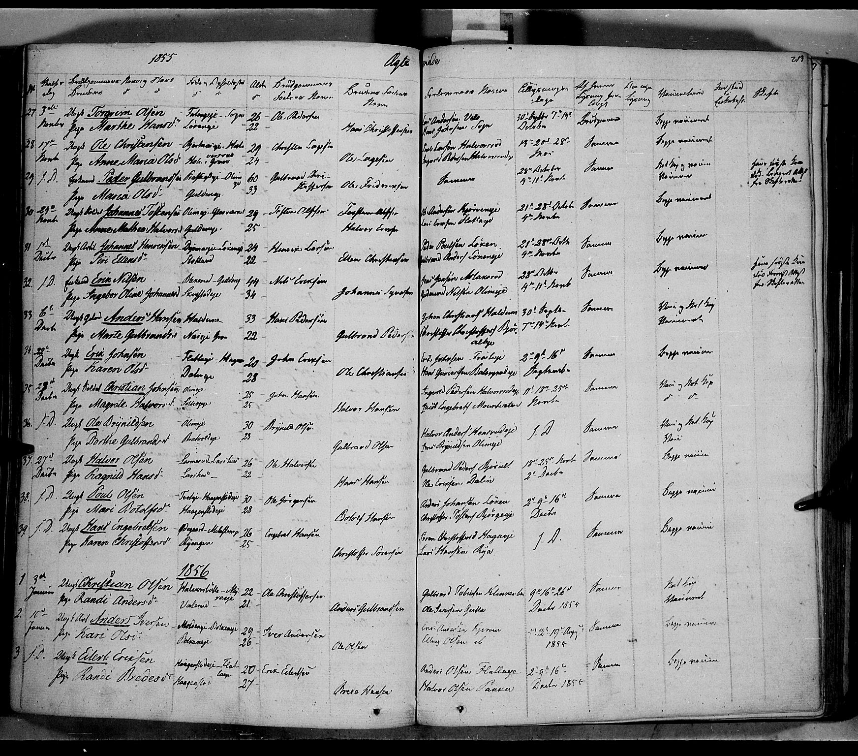Jevnaker prestekontor, SAH/PREST-116/H/Ha/Haa/L0006: Parish register (official) no. 6, 1837-1857, p. 213