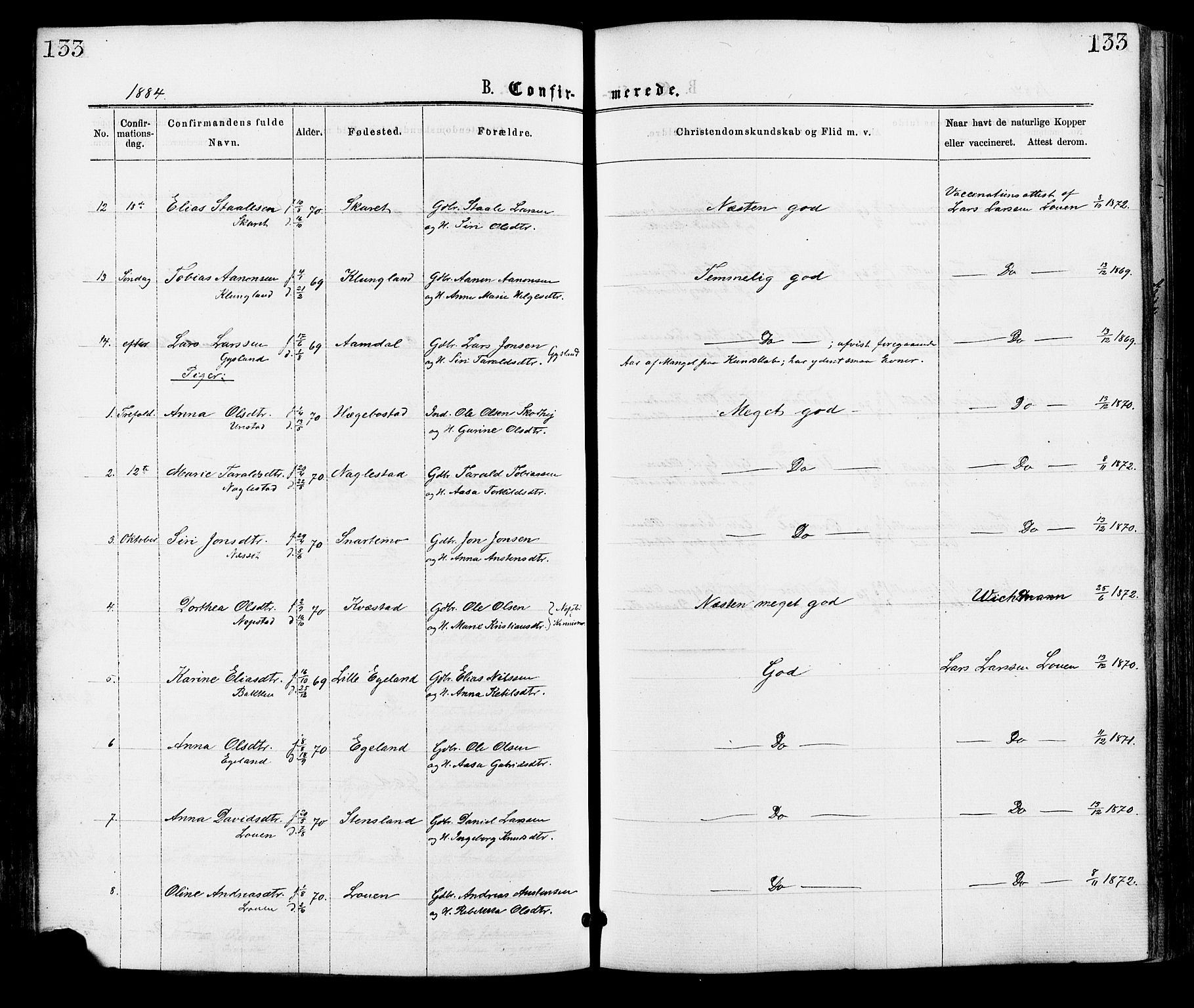 Hægebostad sokneprestkontor, AV/SAK-1111-0024/F/Fa/Faa/L0005: Parish register (official) no. A 5, 1864-1886, p. 133