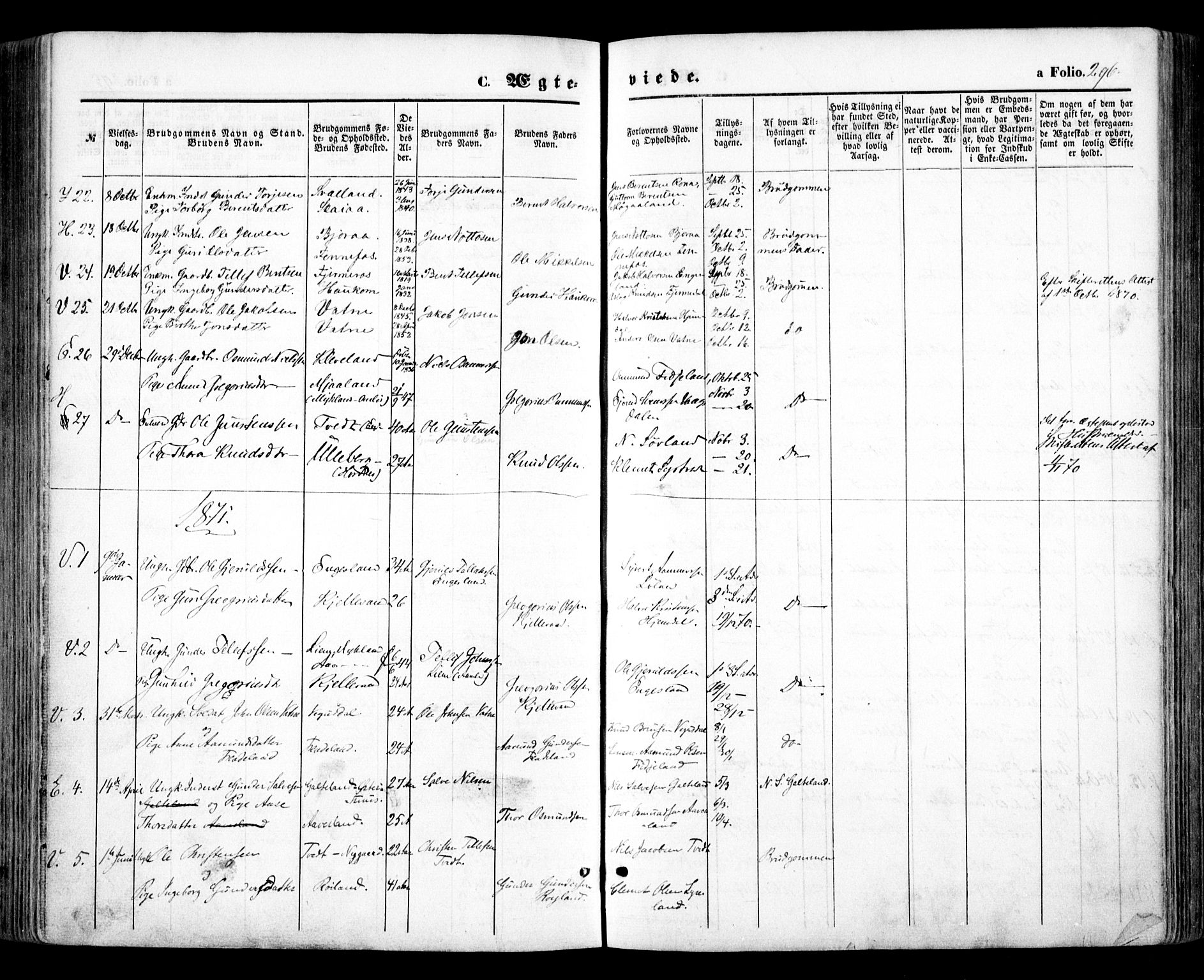 Evje sokneprestkontor, SAK/1111-0008/F/Fa/Faa/L0006: Parish register (official) no. A 6, 1866-1884, p. 296