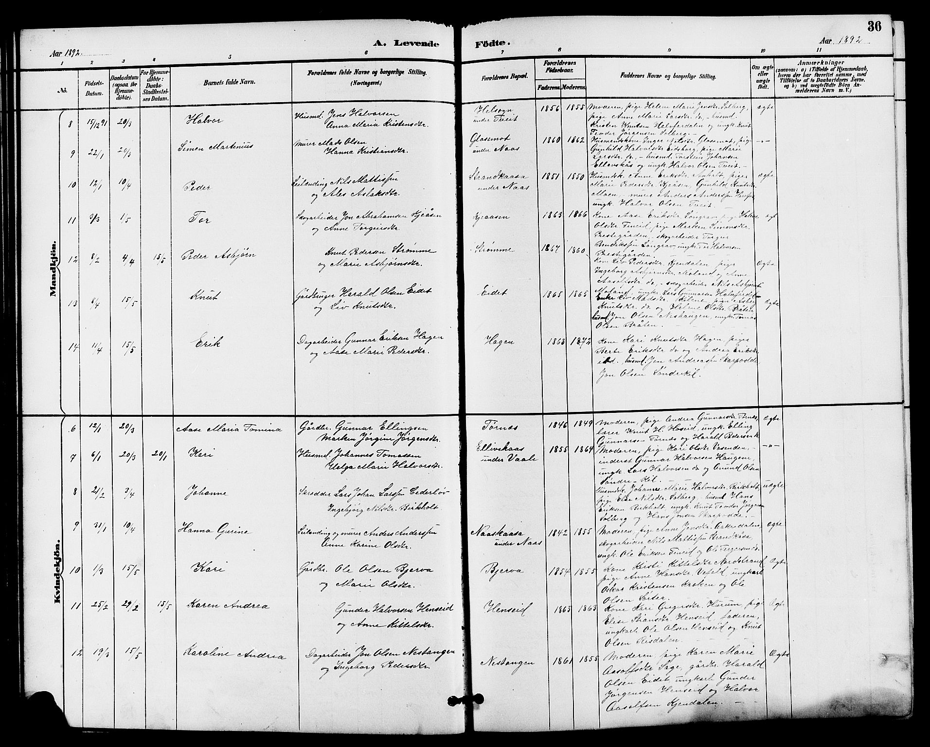 Drangedal kirkebøker, SAKO/A-258/G/Ga/L0003: Parish register (copy) no. I 3, 1887-1906, p. 36