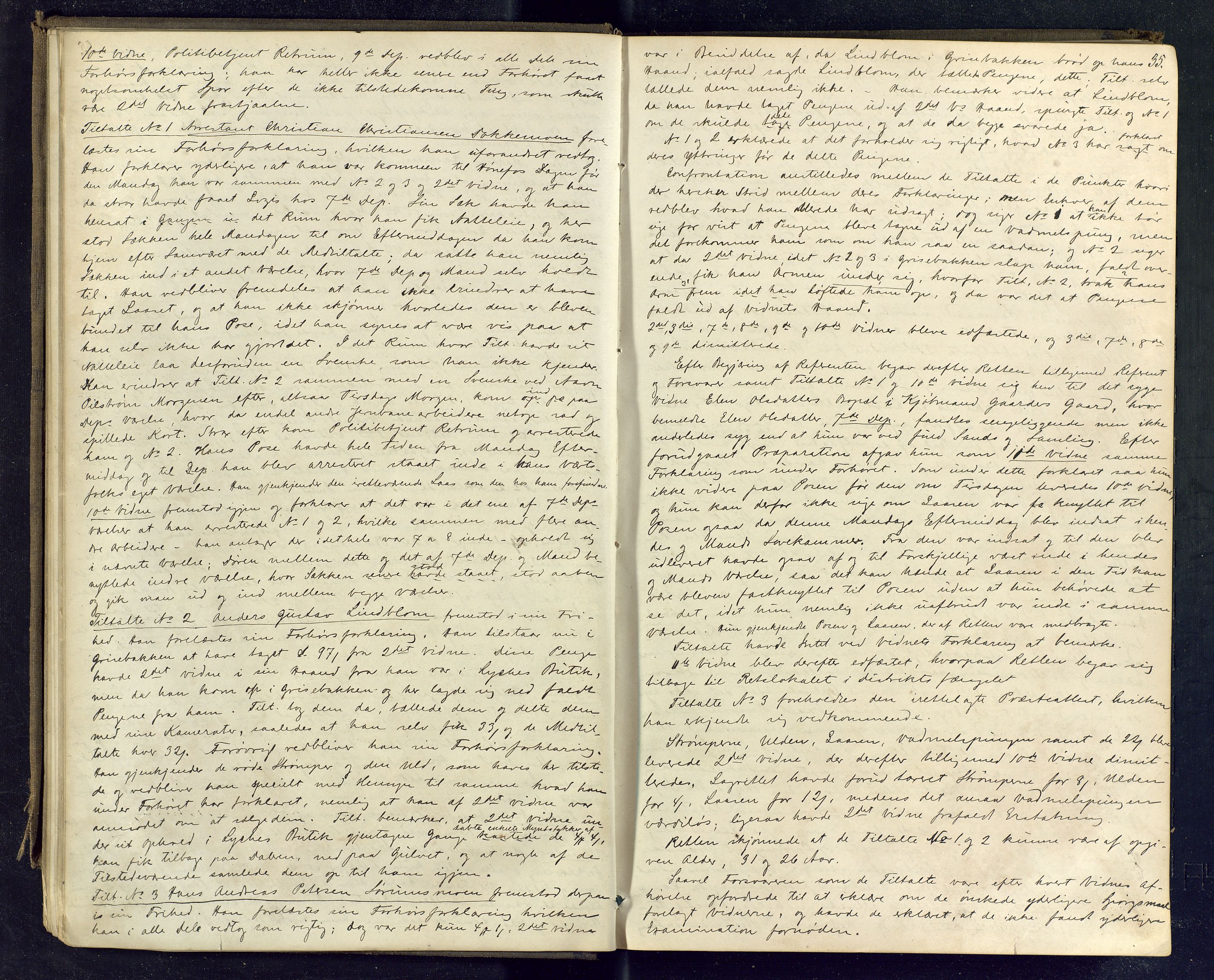 Ringerike sorenskriveri, AV/SAKO-A-105/F/Fc/Fcb/L0003: Ekstrarettsprotokoll, 1868-1878, p. 34-35