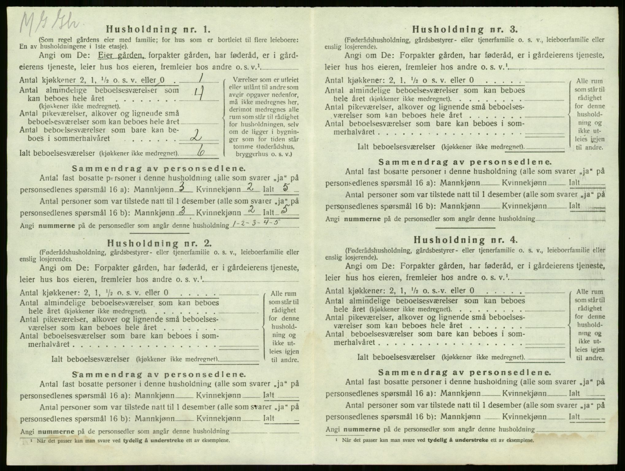 SAKO, 1920 census for Våle, 1920, p. 981