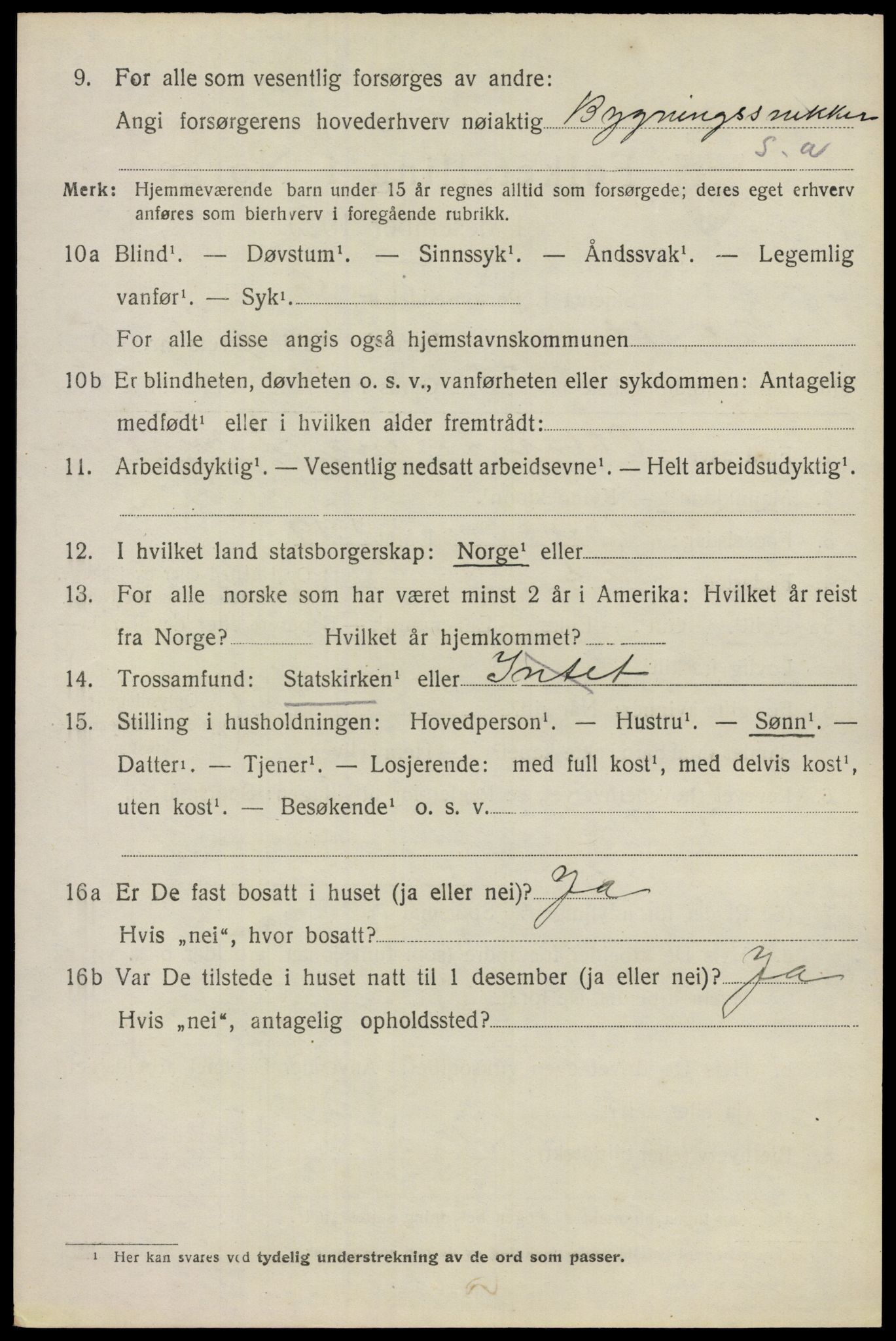 SAO, 1920 census for Nes, 1920, p. 6691