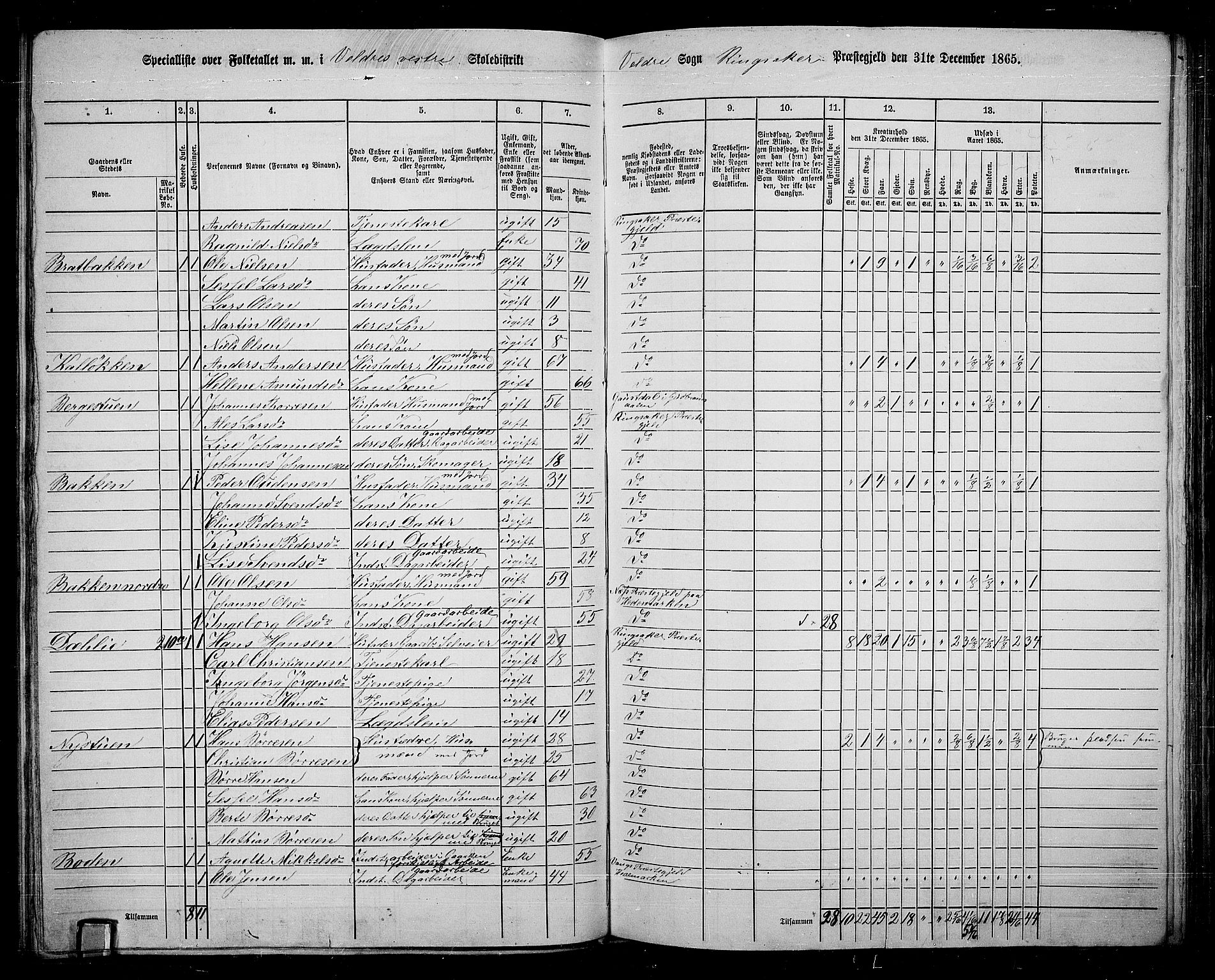 RA, 1865 census for Ringsaker, 1865, p. 158