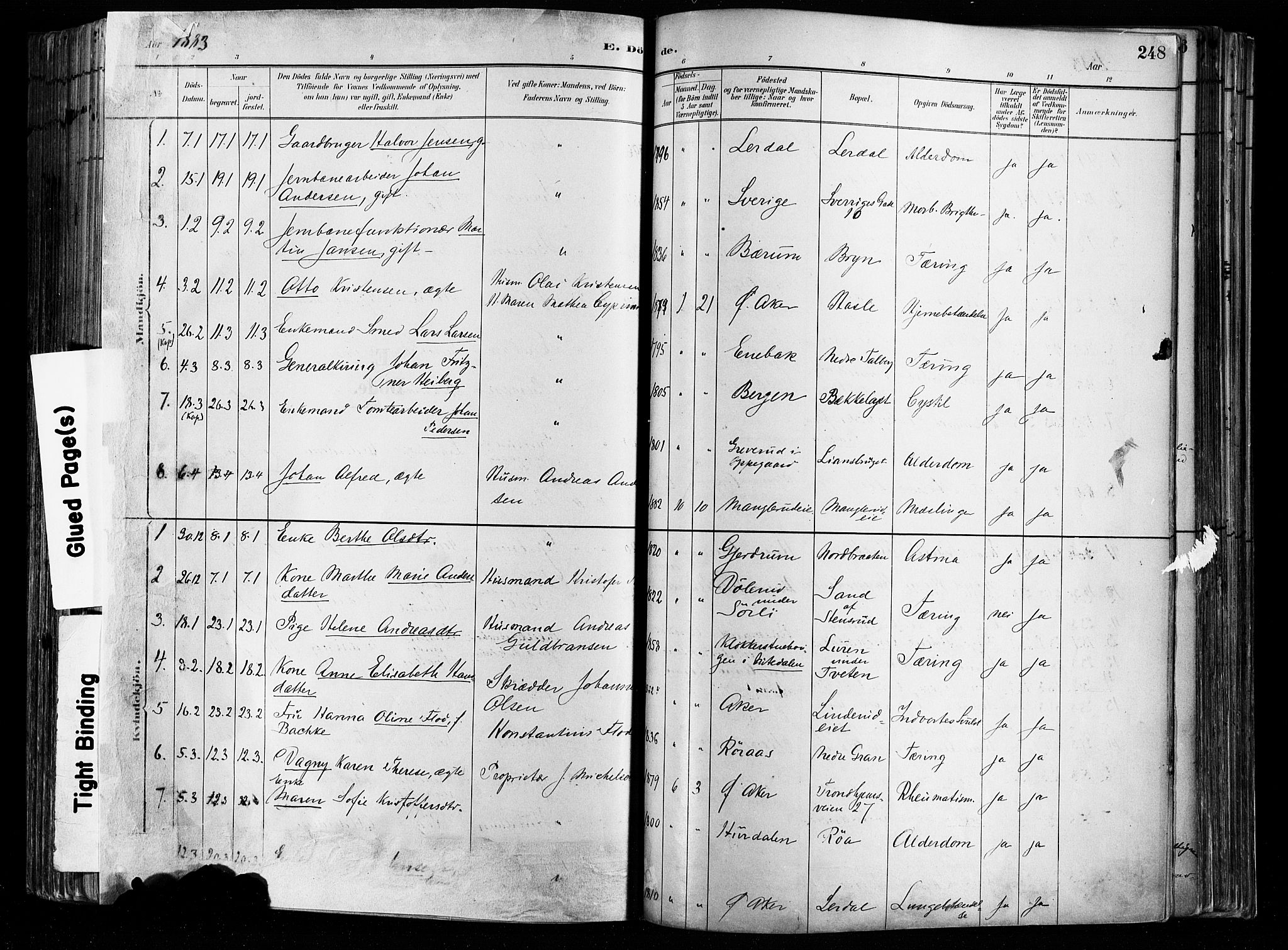 Østre Aker prestekontor Kirkebøker, SAO/A-10840/F/Fa/L0008: Parish register (official) no. I 8, 1883-1894, p. 248