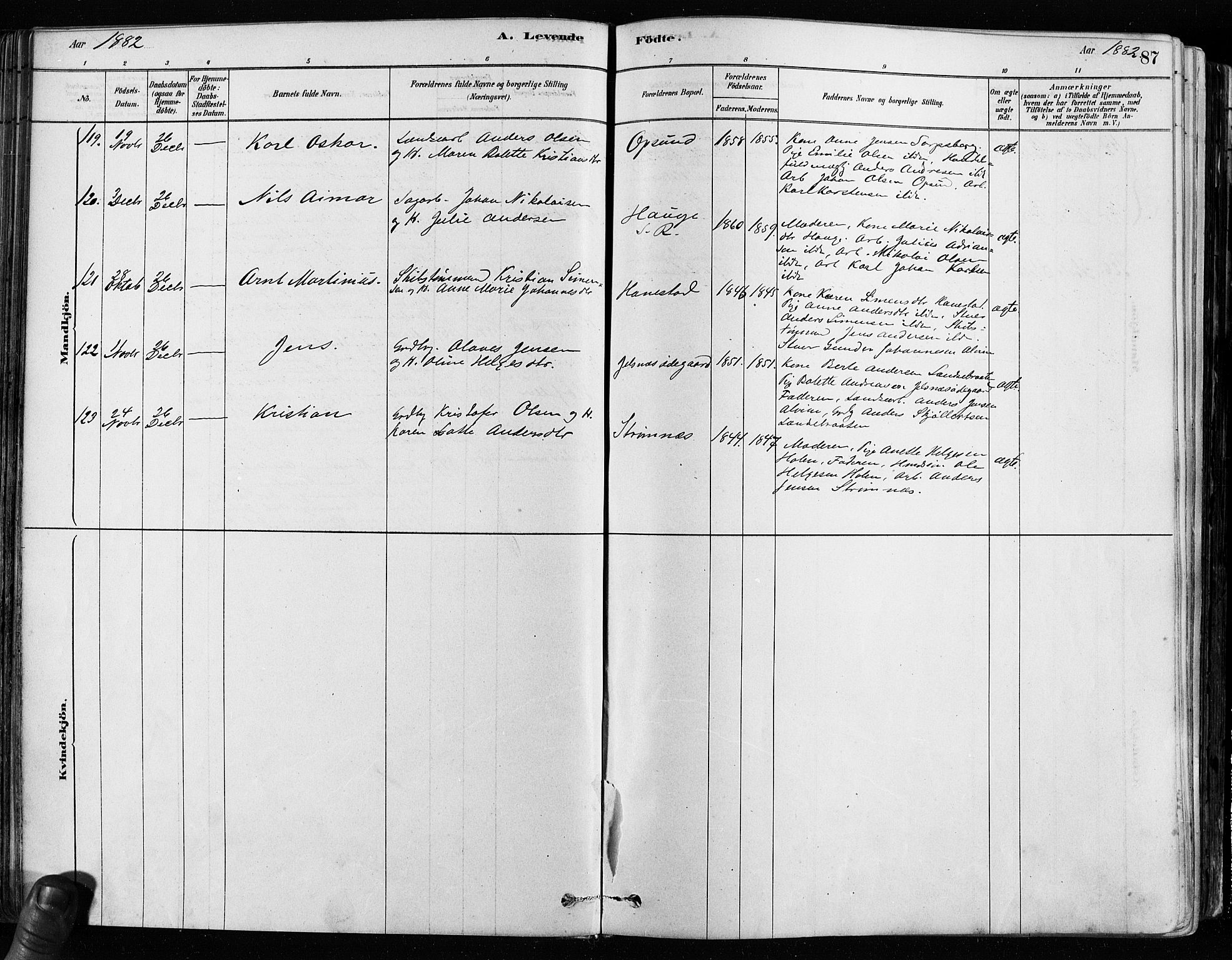 Tune prestekontor Kirkebøker, SAO/A-2007/F/Fa/L0017: Parish register (official) no. 17, 1878-1887, p. 87