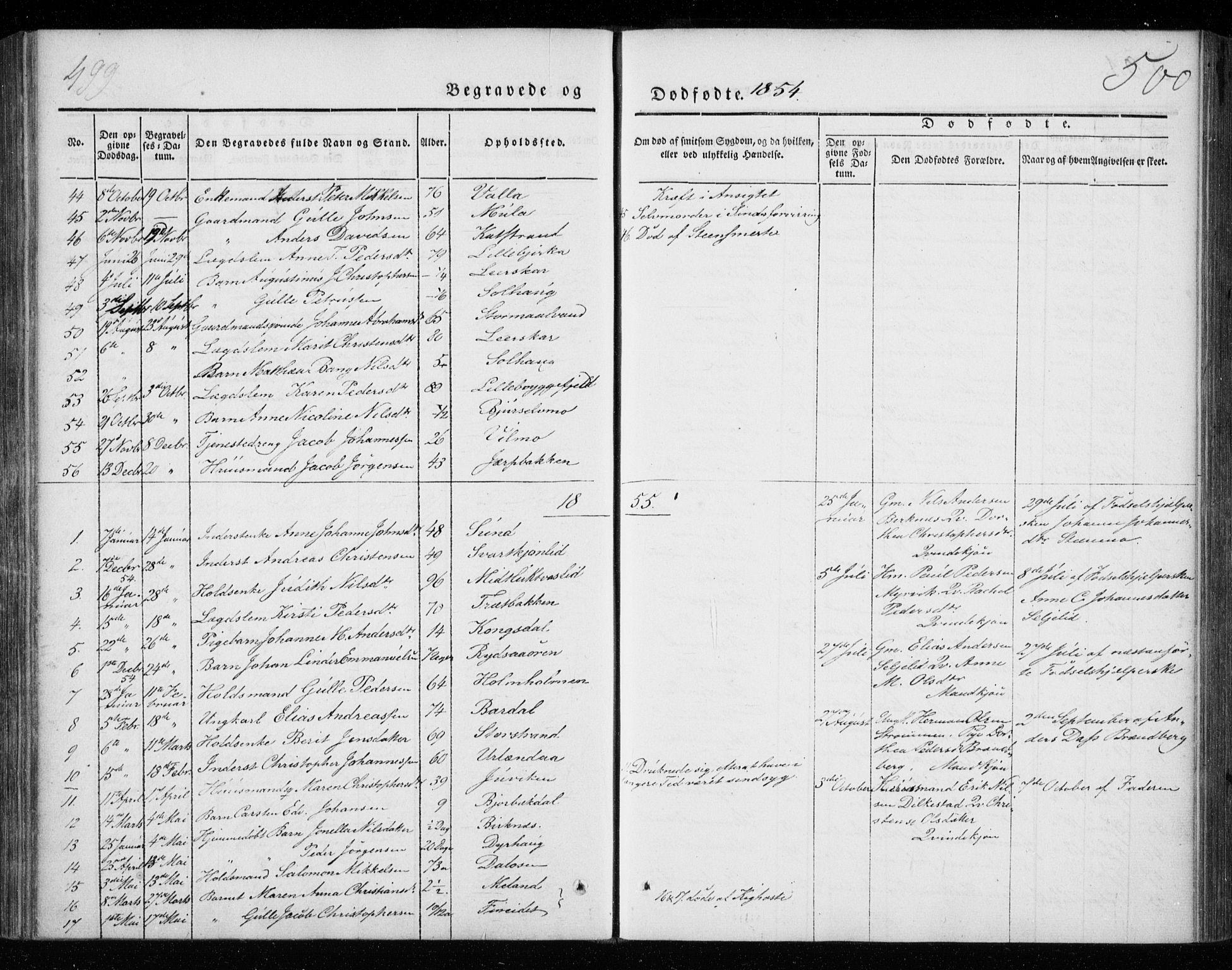 Ministerialprotokoller, klokkerbøker og fødselsregistre - Nordland, AV/SAT-A-1459/825/L0355: Parish register (official) no. 825A09, 1842-1863, p. 499-500