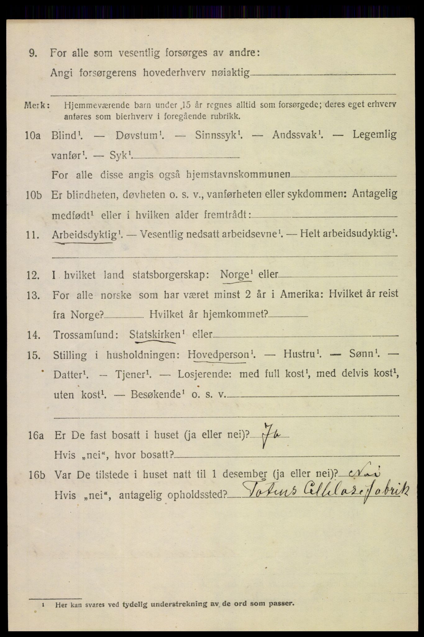 SAH, 1920 census for Søndre Land, 1920, p. 4960