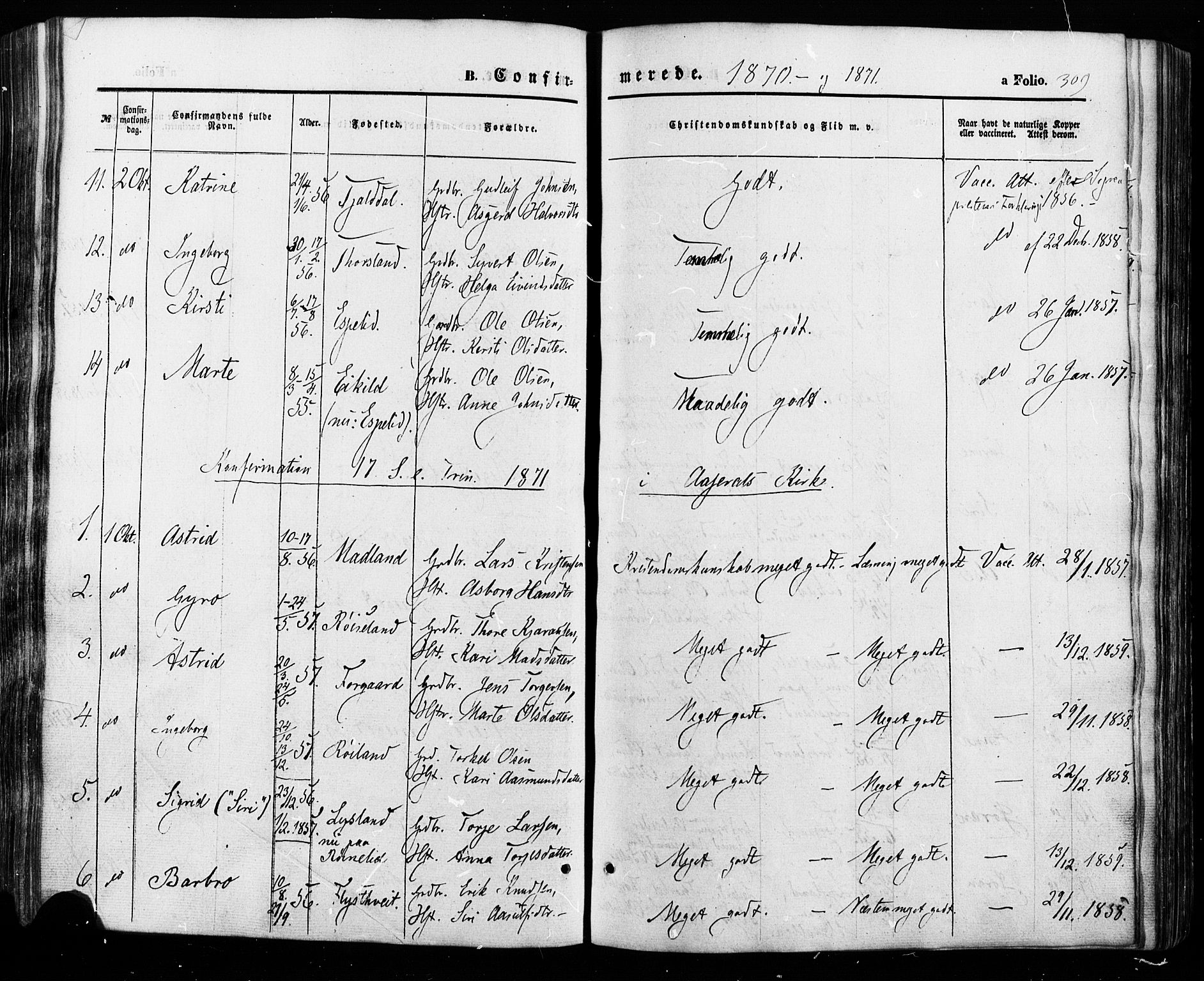 Åseral sokneprestkontor, SAK/1111-0051/F/Fa/L0002: Parish register (official) no. A 2, 1854-1884, p. 309