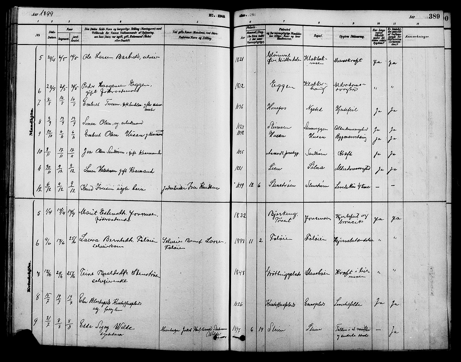 Alvdal prestekontor, AV/SAH-PREST-060/H/Ha/Hab/L0003: Parish register (copy) no. 3, 1878-1907, p. 389