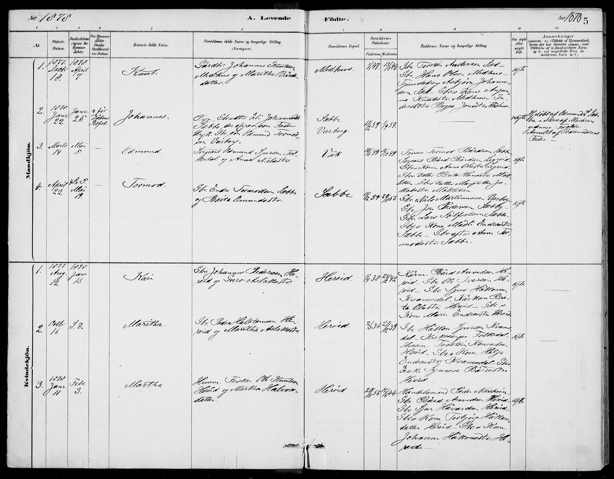 Ulvik sokneprestembete, SAB/A-78801/H/Haa: Parish register (official) no. D  1, 1878-1903, p. 5