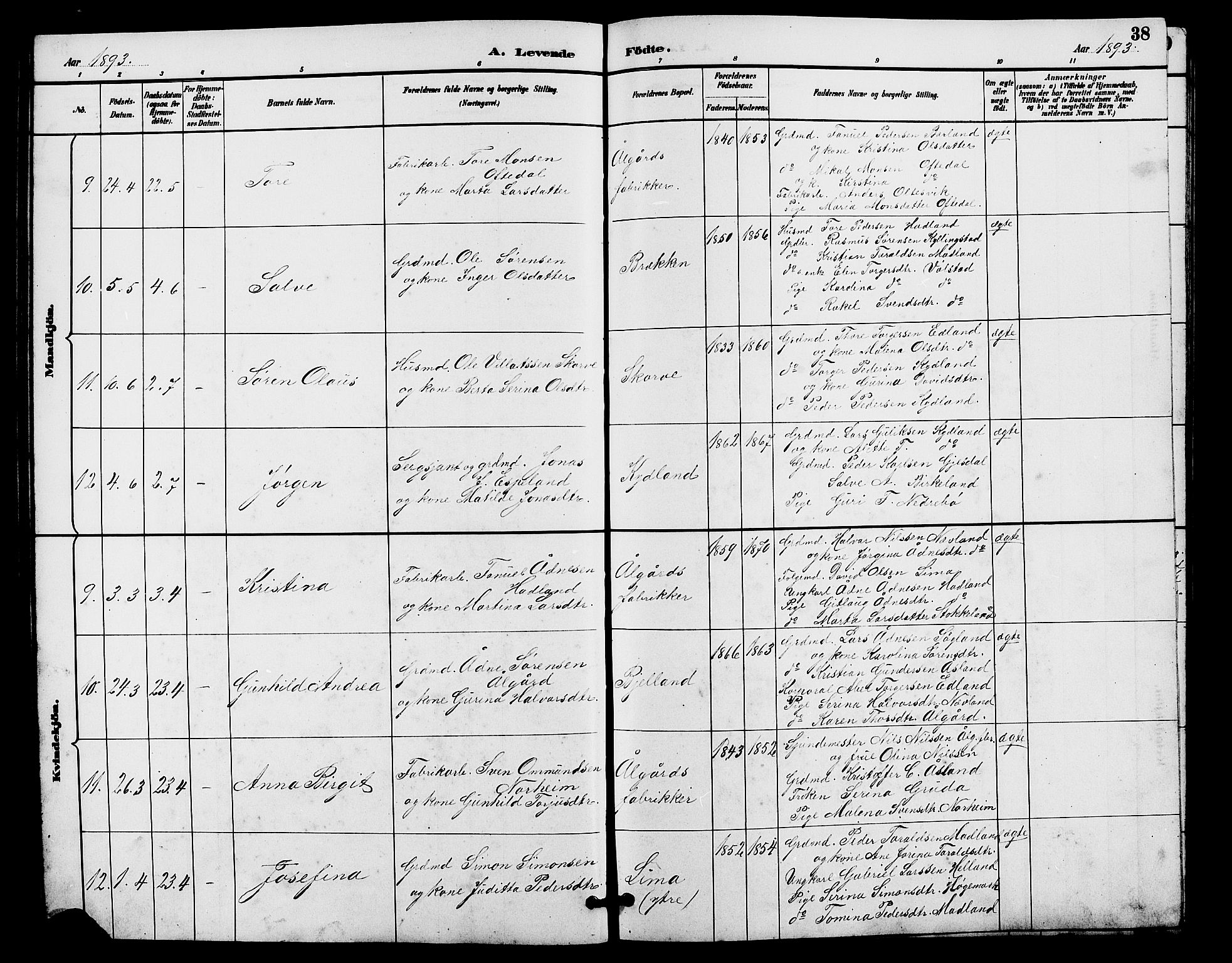 Lye sokneprestkontor, AV/SAST-A-101794/001/30BB/L0008: Parish register (copy) no. B 7, 1887-1901, p. 38