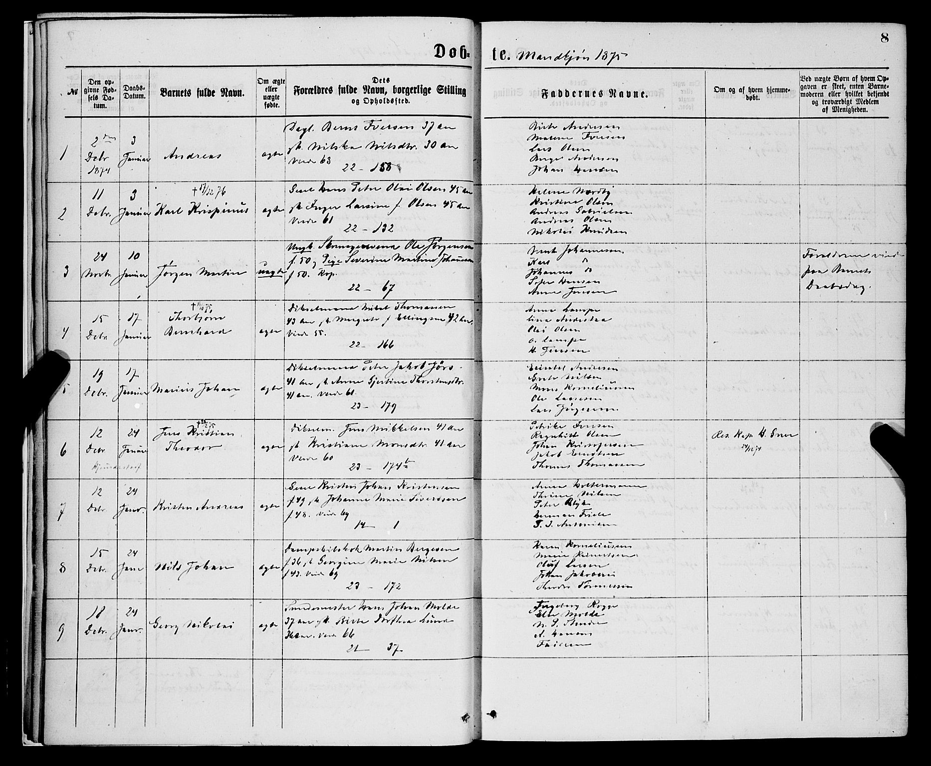 Korskirken sokneprestembete, SAB/A-76101/H/Hab: Parish register (copy) no. B 7, 1874-1878, p. 8