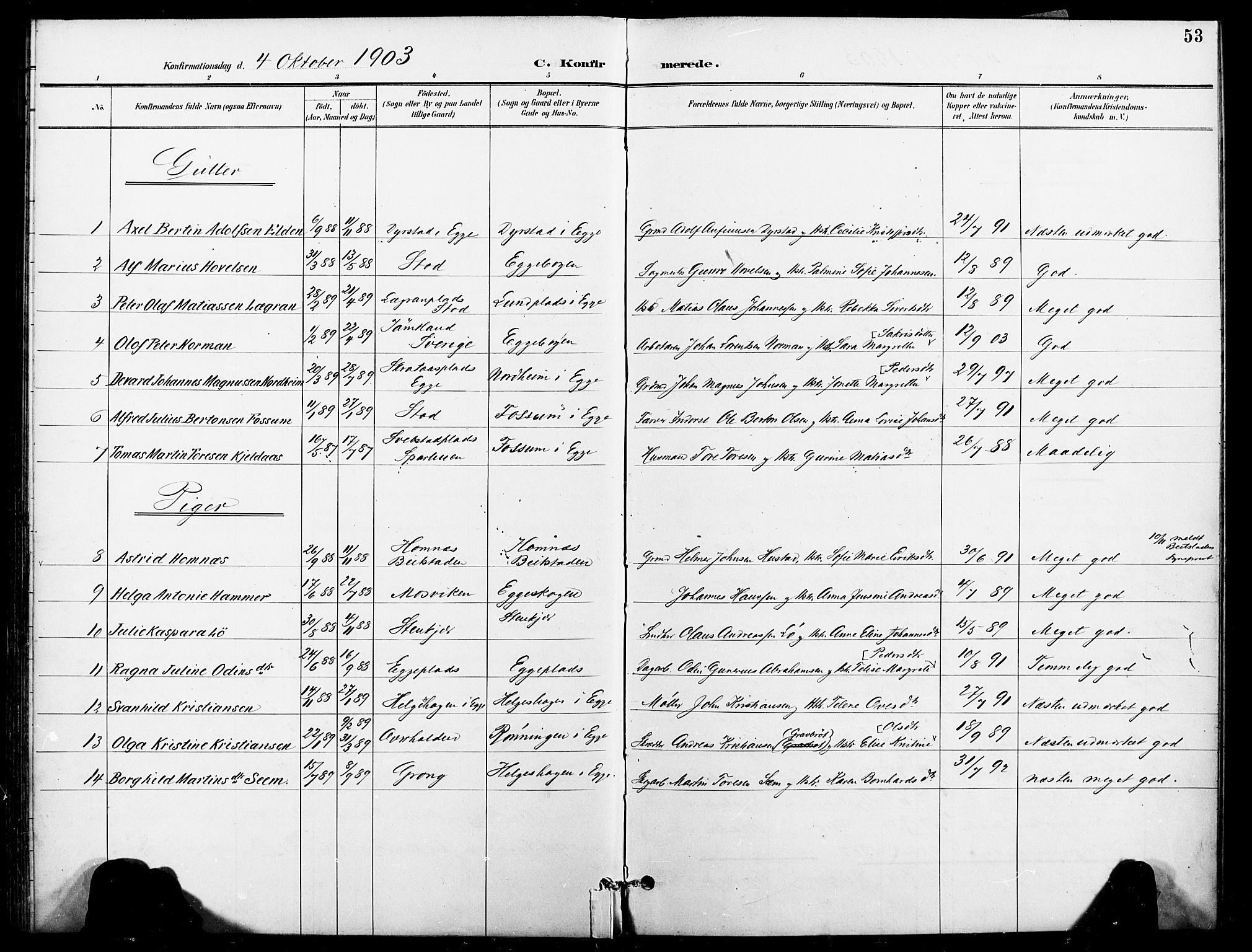 Ministerialprotokoller, klokkerbøker og fødselsregistre - Nord-Trøndelag, SAT/A-1458/740/L0379: Parish register (official) no. 740A02, 1895-1907, p. 53