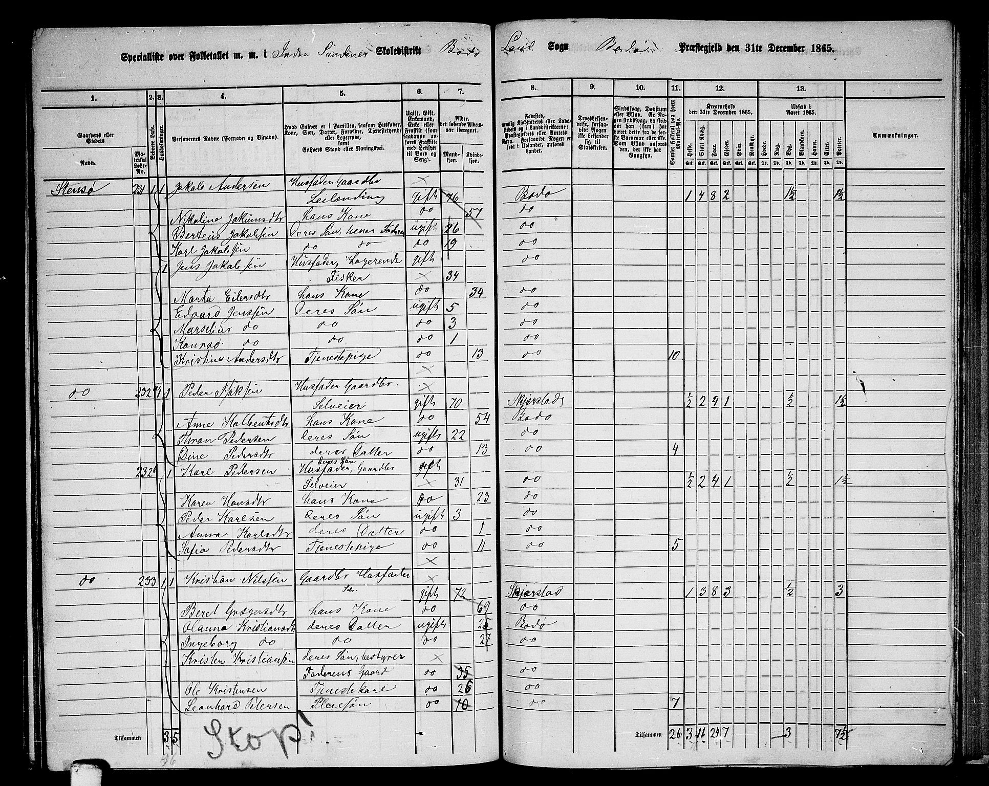 RA, 1865 census for Bodø/Bodø, 1865, p. 131