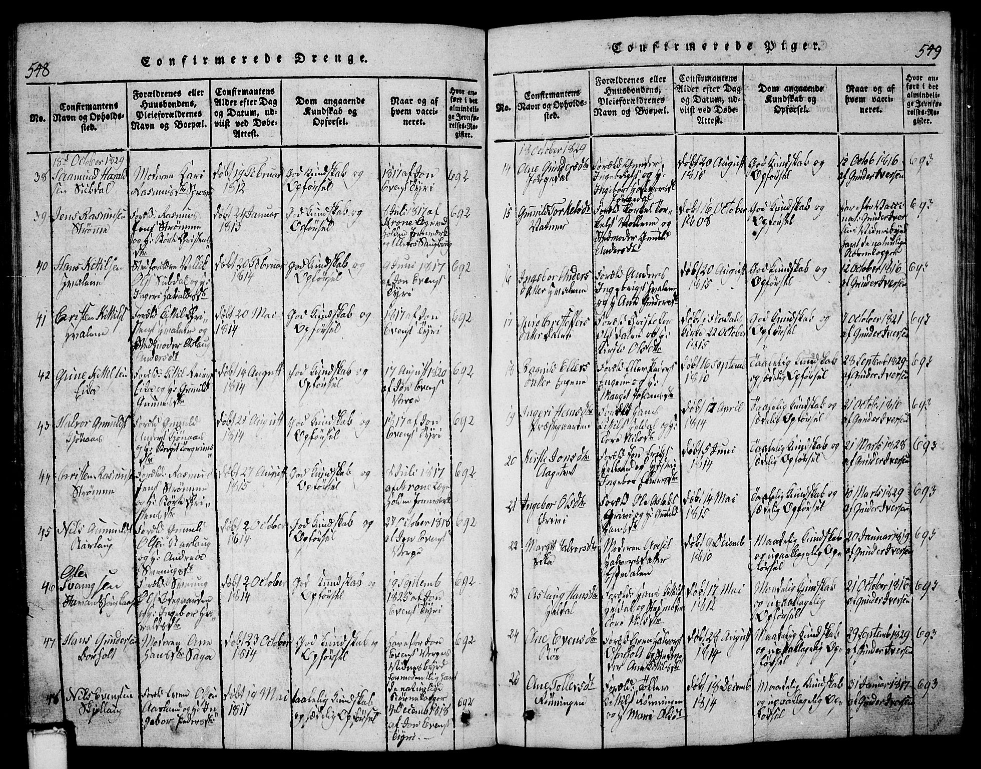 Bø kirkebøker, AV/SAKO-A-257/G/Ga/L0001: Parish register (copy) no. 1, 1815-1831, p. 548-549