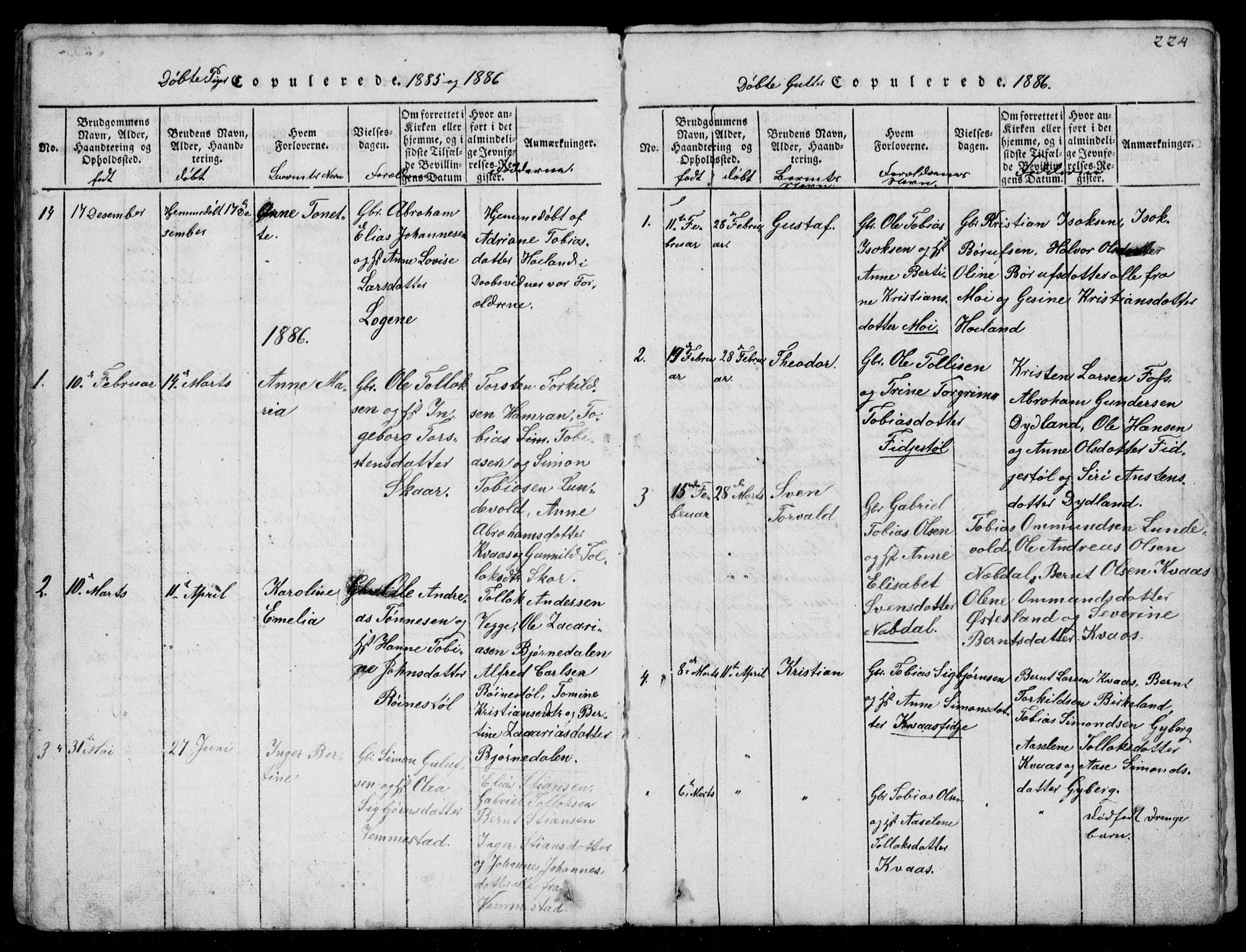 Lyngdal sokneprestkontor, AV/SAK-1111-0029/F/Fb/Fbb/L0001: Parish register (copy) no. B 1, 1816-1900, p. 224