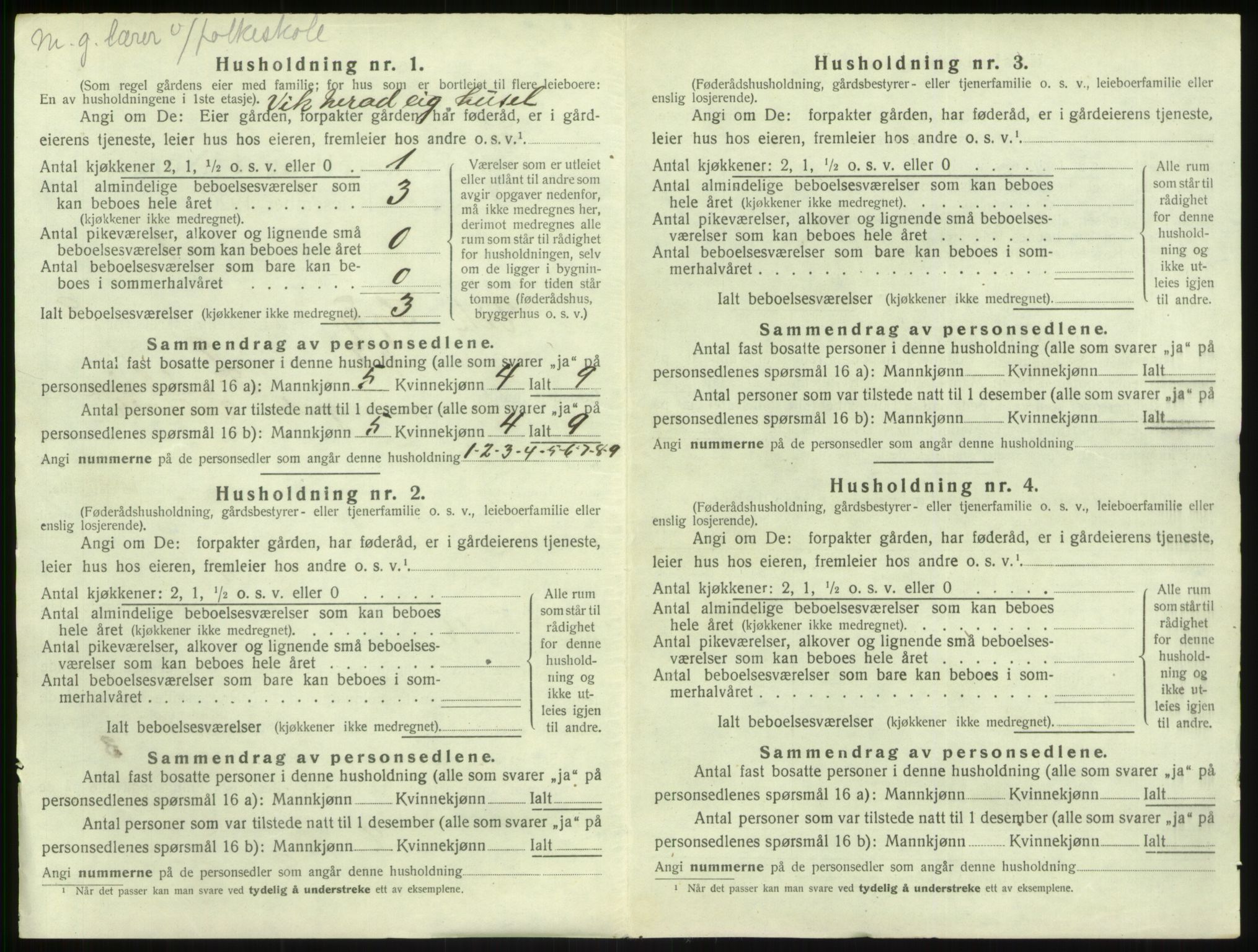 SAB, 1920 census for Vik, 1920, p. 901