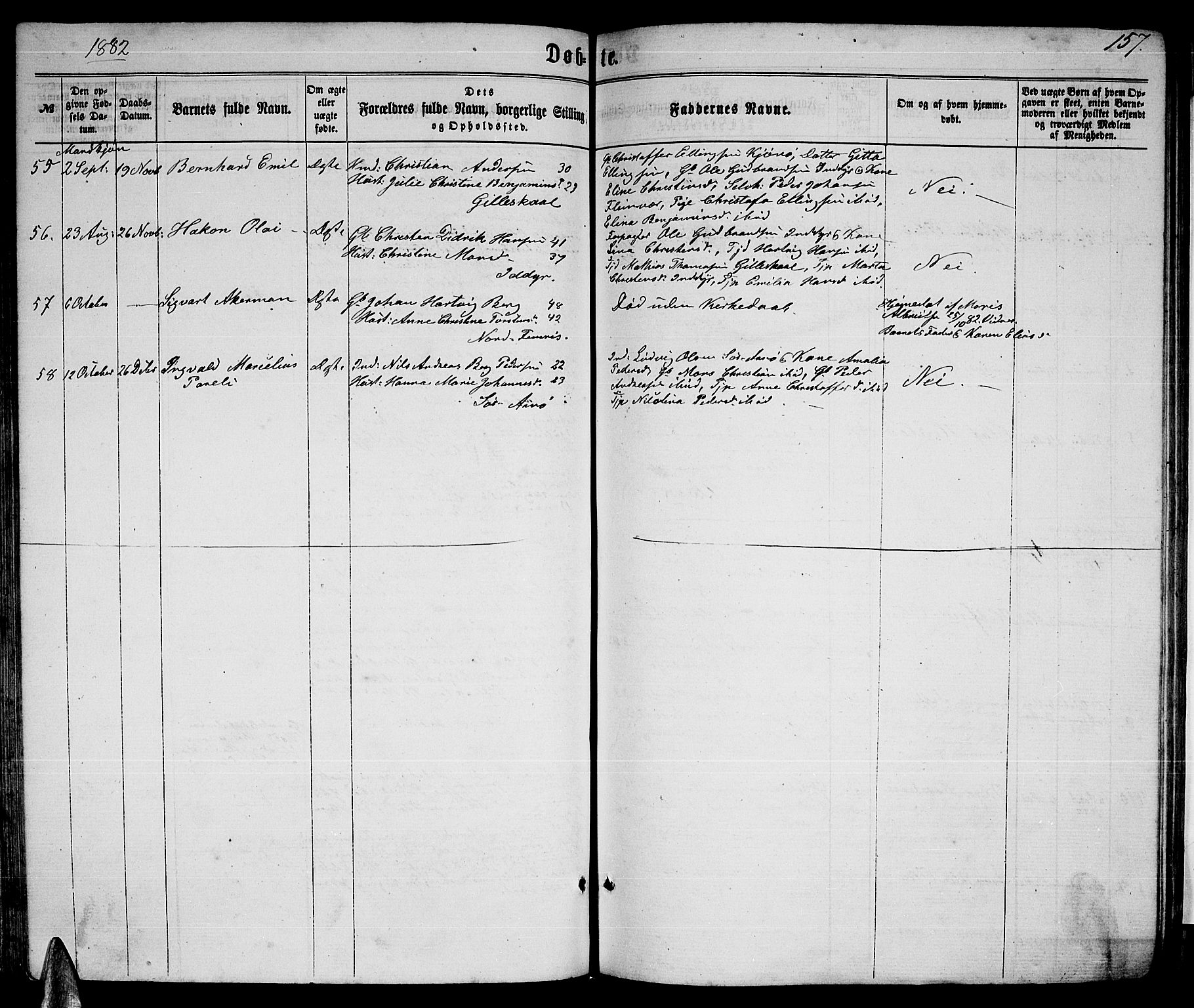 Ministerialprotokoller, klokkerbøker og fødselsregistre - Nordland, SAT/A-1459/805/L0107: Parish register (copy) no. 805C03, 1862-1885, p. 157