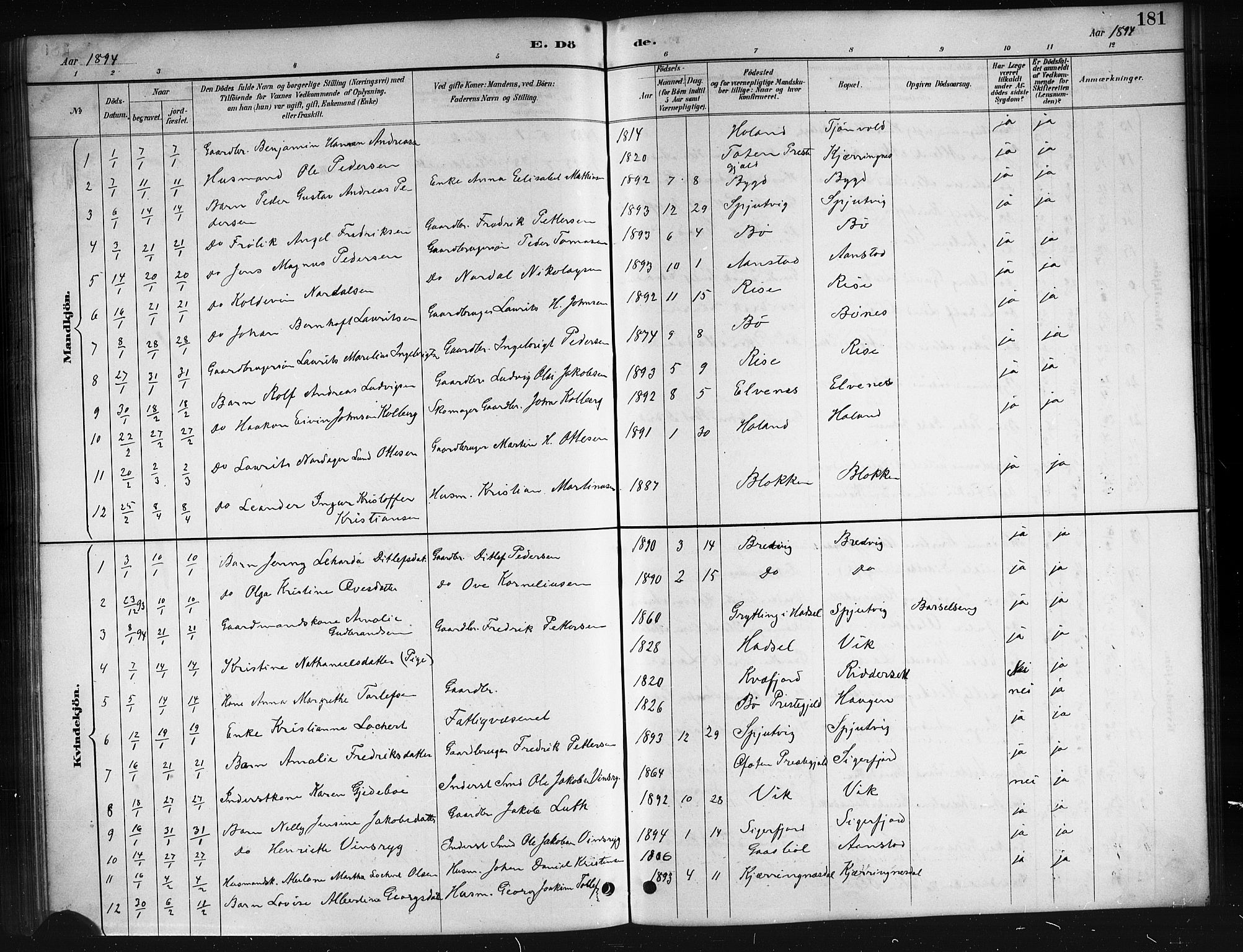 Ministerialprotokoller, klokkerbøker og fødselsregistre - Nordland, AV/SAT-A-1459/895/L1382: Parish register (copy) no. 895C04, 1885-1896, p. 181