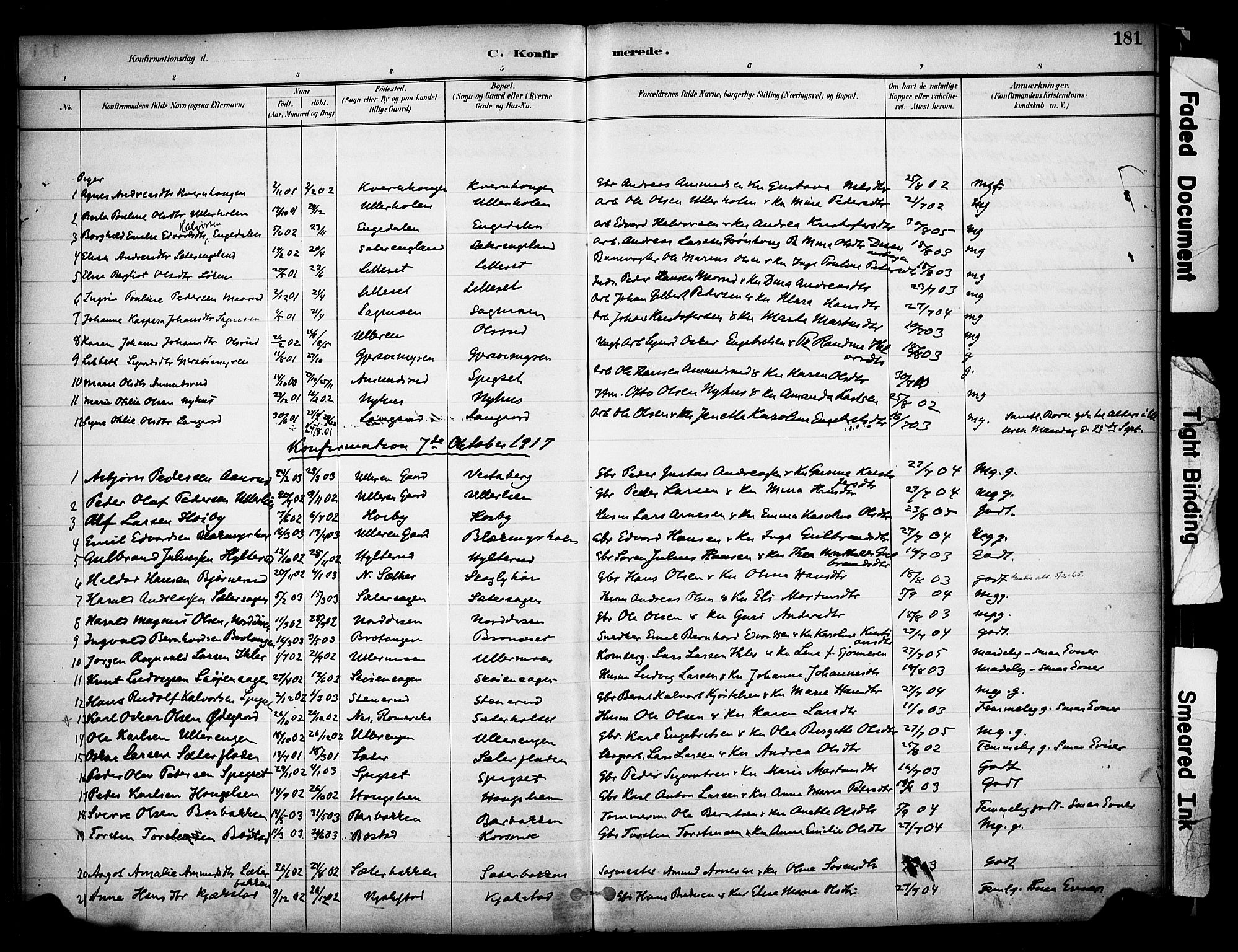 Sør-Odal prestekontor, SAH/PREST-030/H/Ha/Haa/L0008: Parish register (official) no. 8, 1886-1922, p. 181