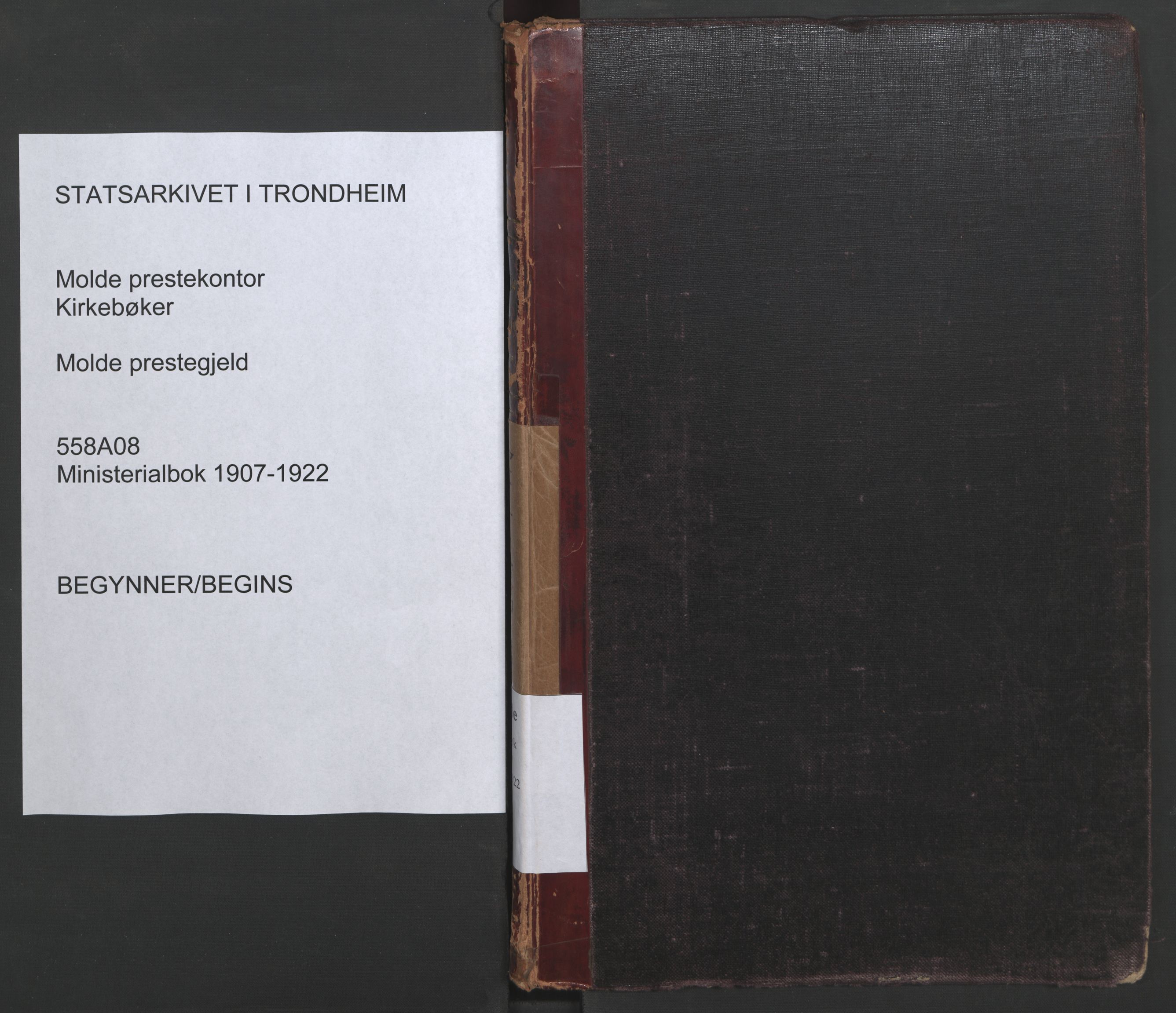 Ministerialprotokoller, klokkerbøker og fødselsregistre - Møre og Romsdal, SAT/A-1454/558/L0694: Parish register (official) no. 558A08, 1907-1922